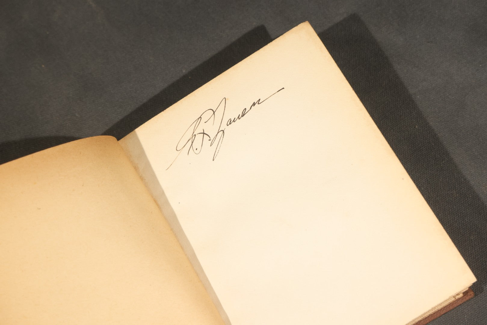 "Handbook of the Sparrows, Finches, Etc. of New England" Antique Illustrated Ornithology Book by C.J. Maynard, Published by C.J. Maynard, Newtonville, Massachusetts, 1896