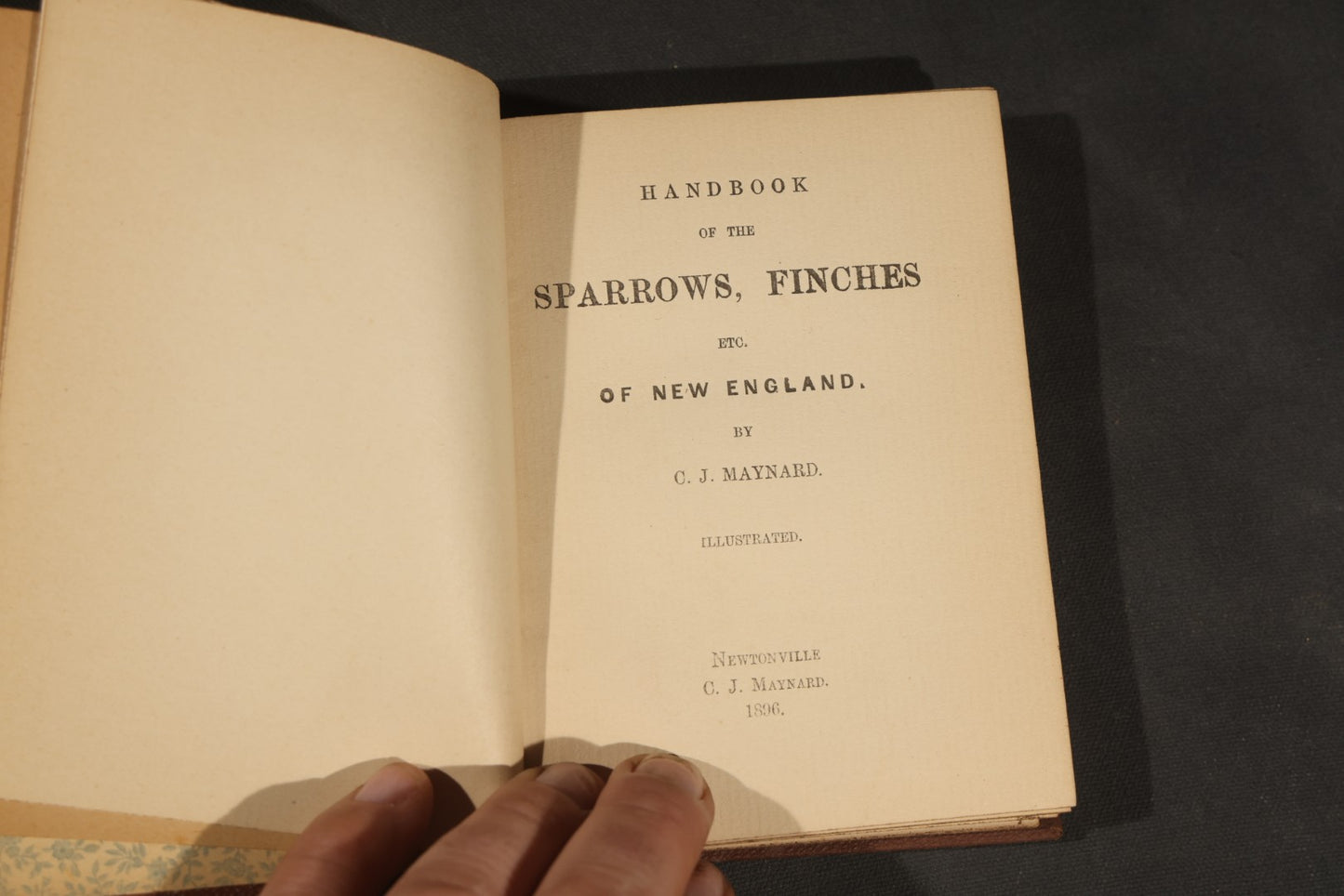 "Handbook of the Sparrows, Finches, Etc. of New England" Antique Illustrated Ornithology Book by C.J. Maynard, Published by C.J. Maynard, Newtonville, Massachusetts, 1896
