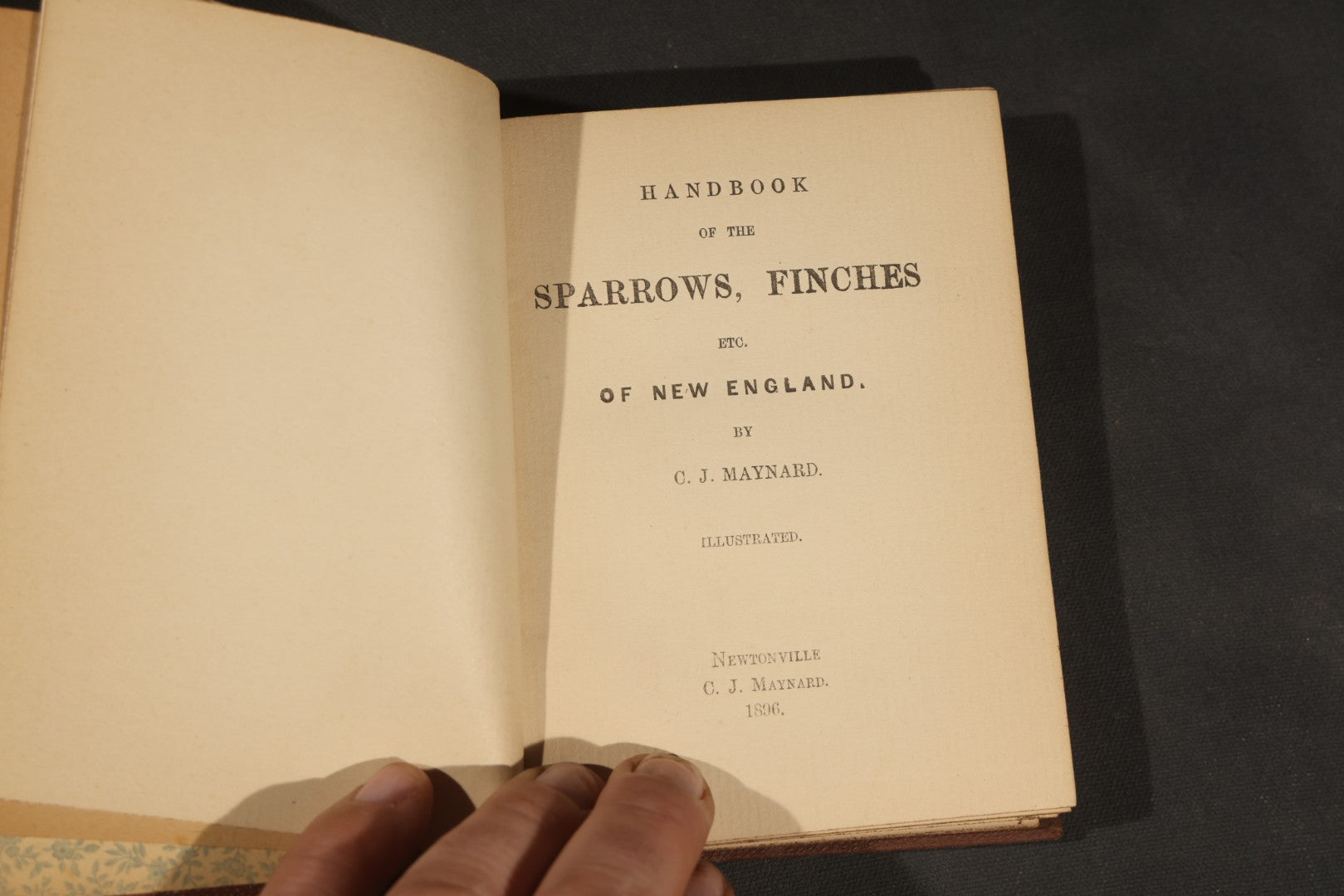 "Handbook of the Sparrows, Finches, Etc. of New England" Antique Illustrated Ornithology Book by C.J. Maynard, Published by C.J. Maynard, Newtonville, Massachusetts, 1896