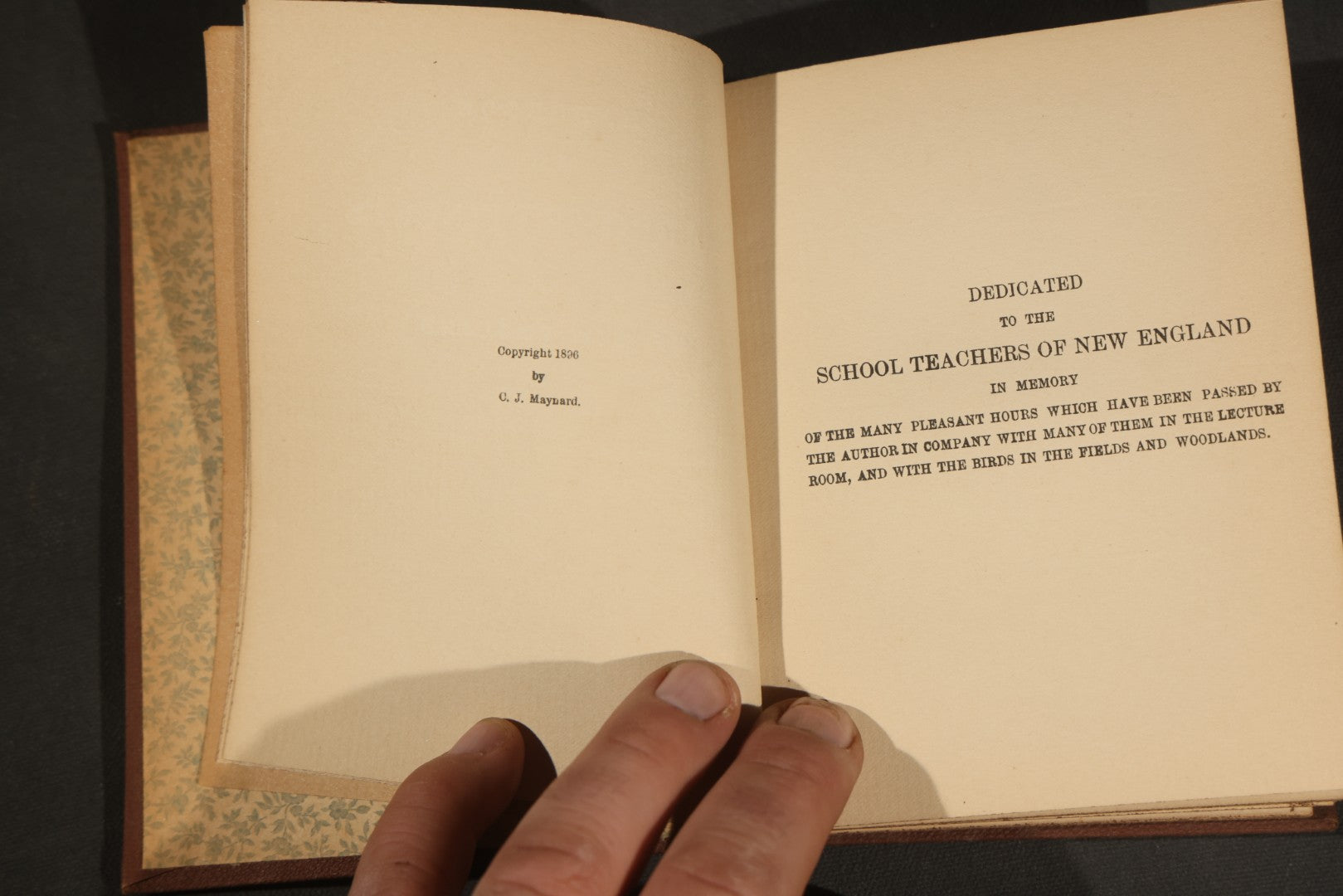 "Handbook of the Sparrows, Finches, Etc. of New England" Antique Illustrated Ornithology Book by C.J. Maynard, Published by C.J. Maynard, Newtonville, Massachusetts, 1896