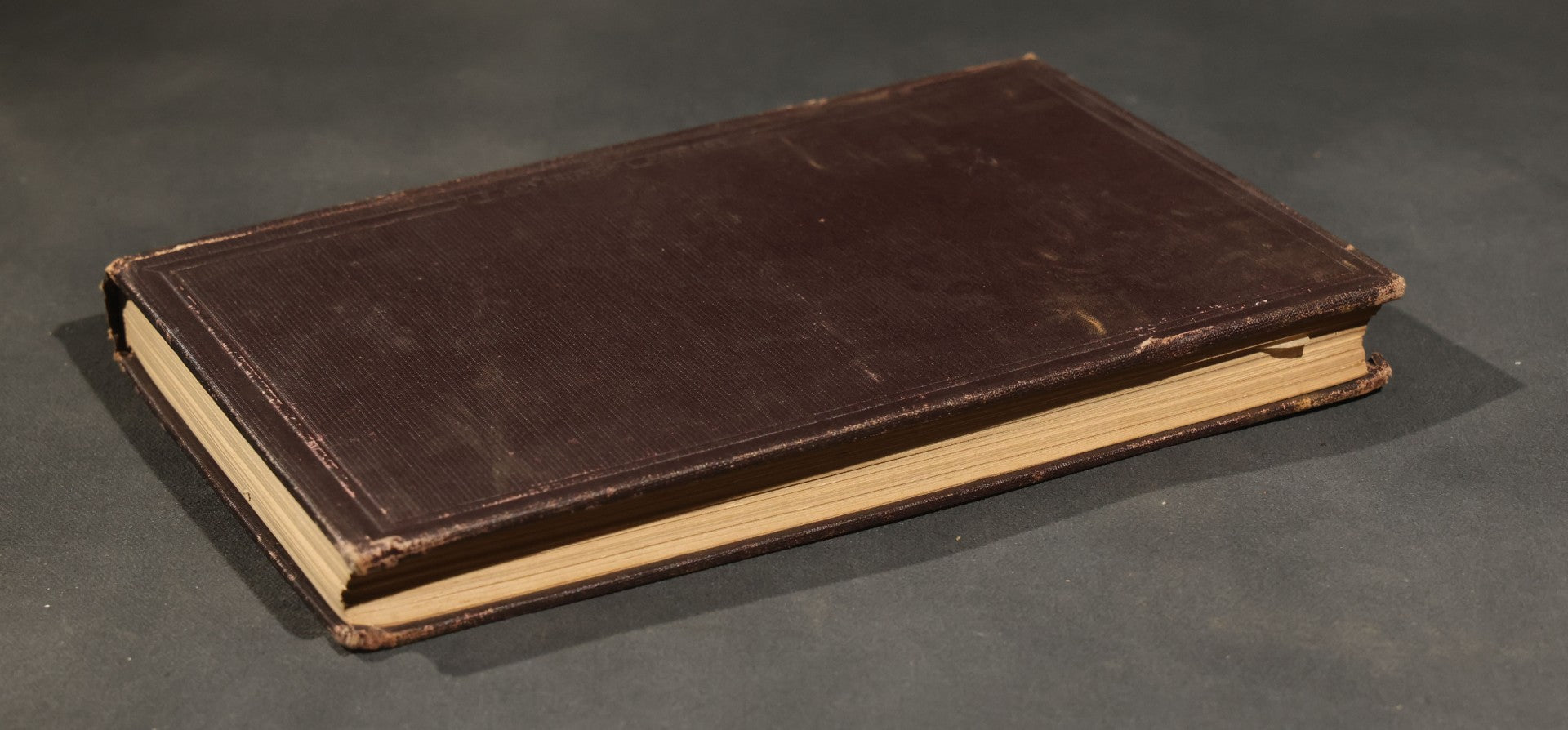 "The Hawks and Owls of the United States in Their Relation to Agriculture" Antique Illustrated Ornithology Book by A.K. Fisher, M.D., U.S. Department of Agriculture Bulletin no. 3, Published by Government Printing Office, Washington, 1893