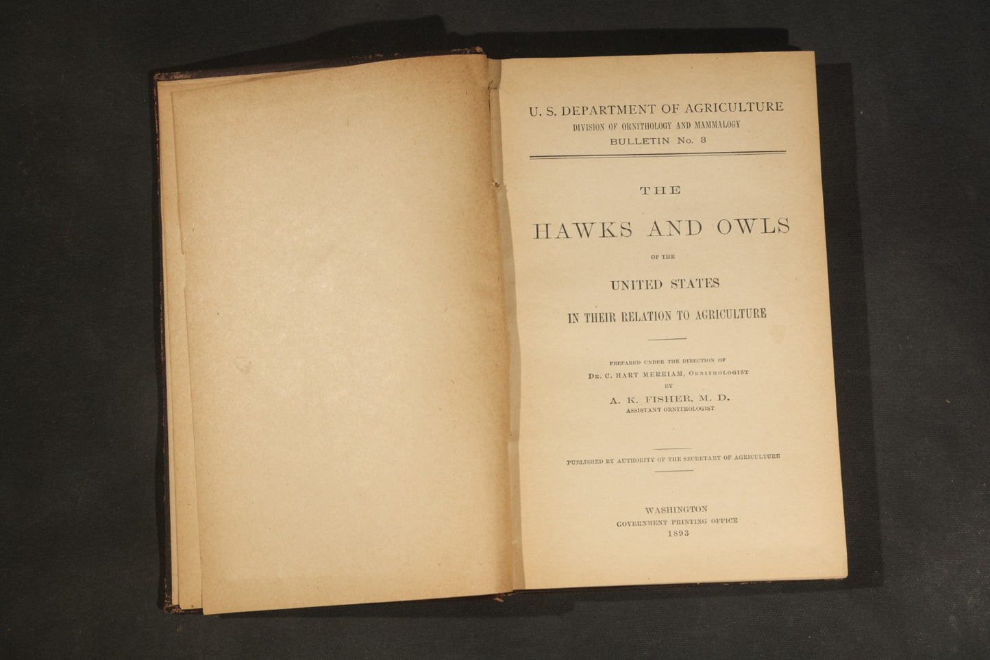 "The Hawks and Owls of the United States in Their Relation to Agriculture" Antique Illustrated Ornithology Book by A.K. Fisher, M.D., U.S. Department of Agriculture Bulletin no. 3, Published by Government Printing Office, Washington, 1893
