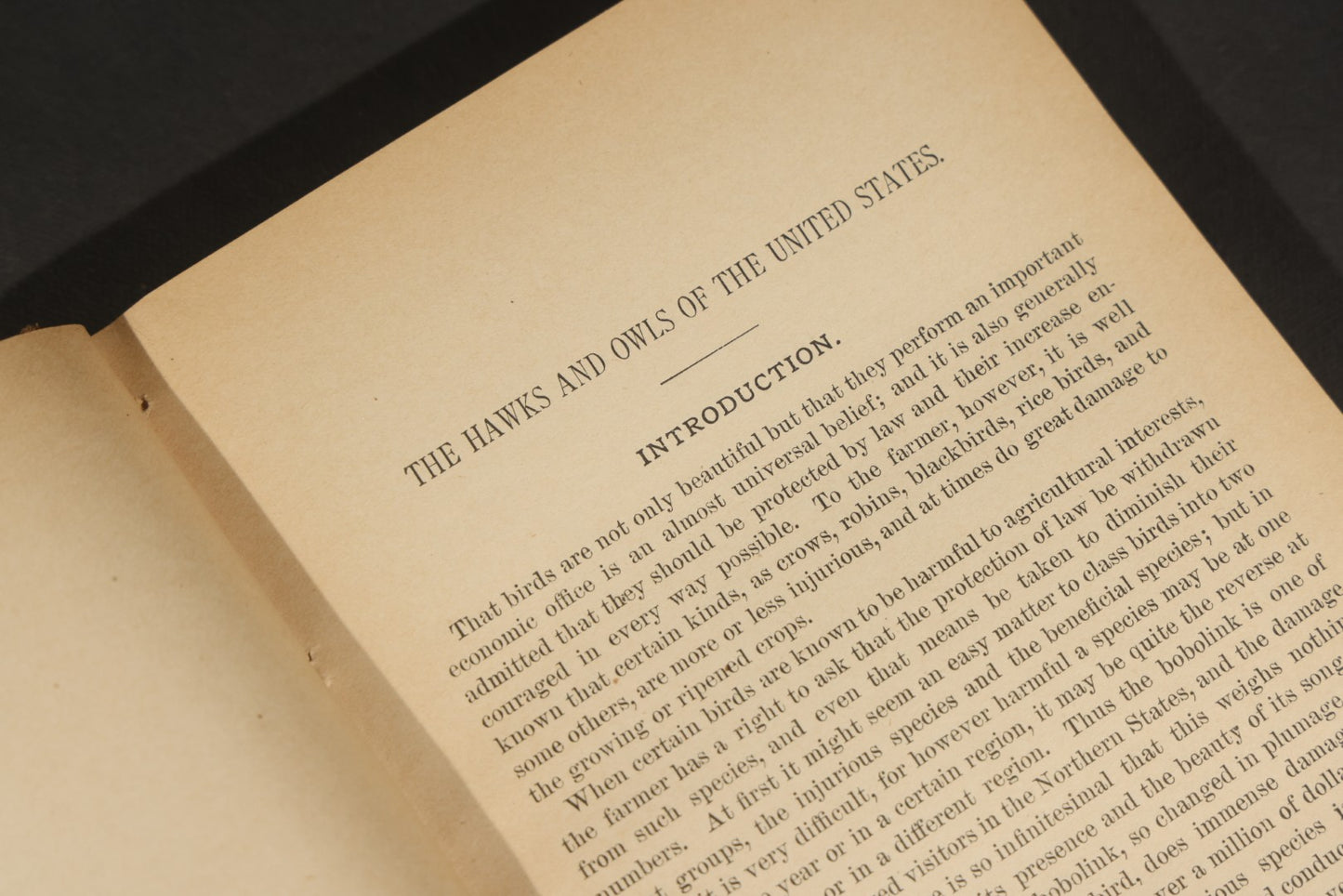 "The Hawks and Owls of the United States in Their Relation to Agriculture" Antique Illustrated Ornithology Book by A.K. Fisher, M.D., U.S. Department of Agriculture Bulletin no. 3, Published by Government Printing Office, Washington, 1893