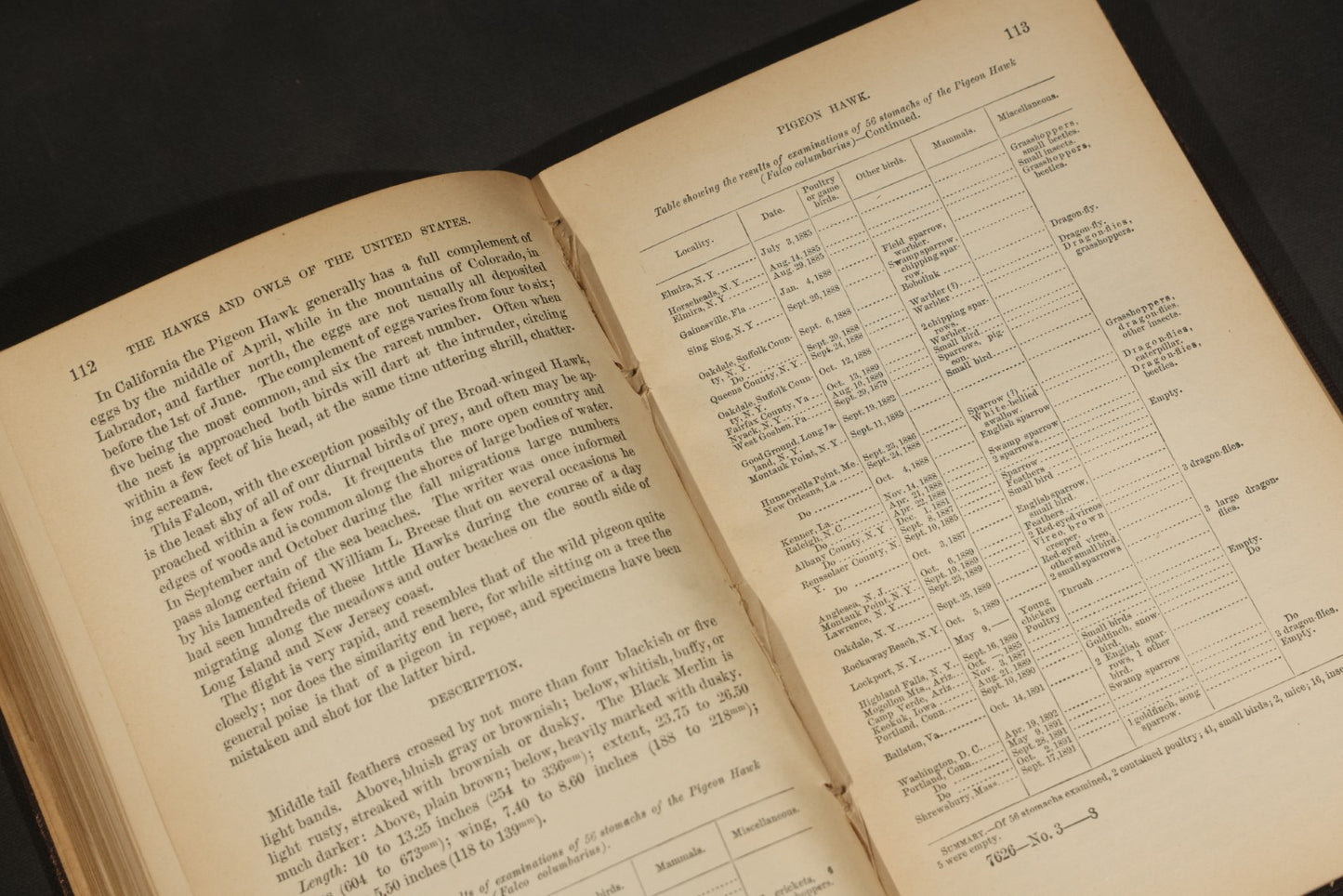 "The Hawks and Owls of the United States in Their Relation to Agriculture" Antique Illustrated Ornithology Book by A.K. Fisher, M.D., U.S. Department of Agriculture Bulletin no. 3, Published by Government Printing Office, Washington, 1893