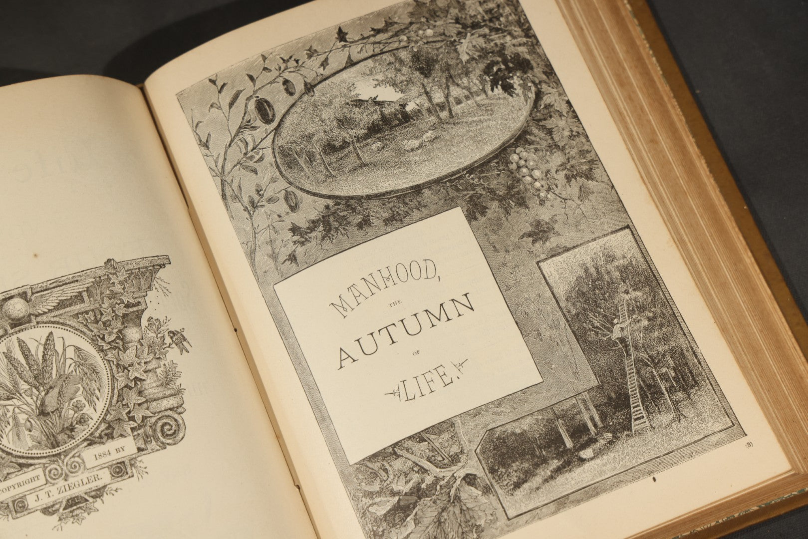 "The Life of Man in His Voyage Through the Four Seasons" Antique Illustrated Book by Rev. J. Thomas Ziegler, with Chromolithograph and Engraved Plates, Published by P.W. Ziegler & Co., Philadelphia, Pennsylvania, and Chicago, Illinois, 1885