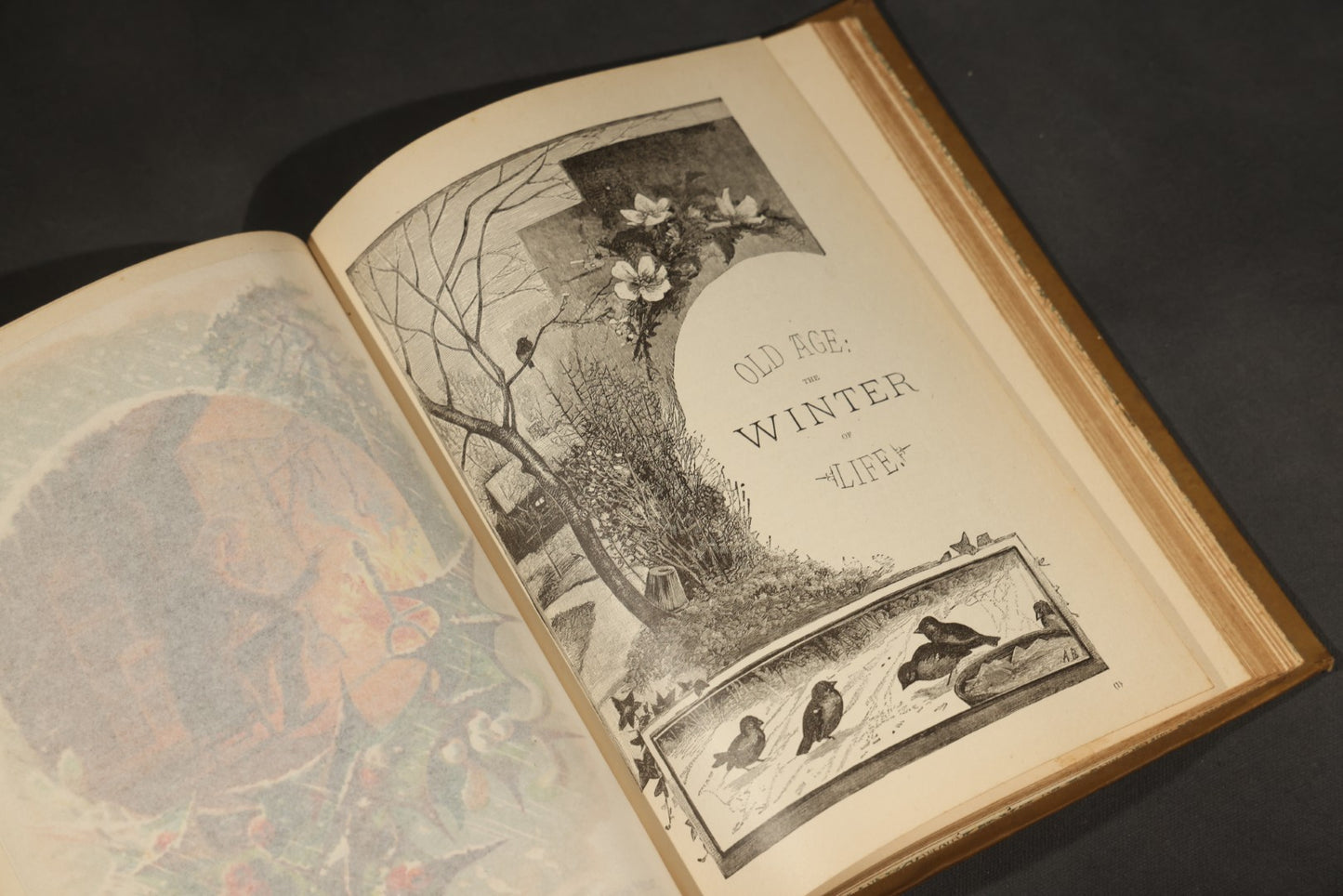 "The Life of Man in His Voyage Through the Four Seasons" Antique Illustrated Book by Rev. J. Thomas Ziegler, with Chromolithograph and Engraved Plates, Published by P.W. Ziegler & Co., Philadelphia, Pennsylvania, and Chicago, Illinois, 1885