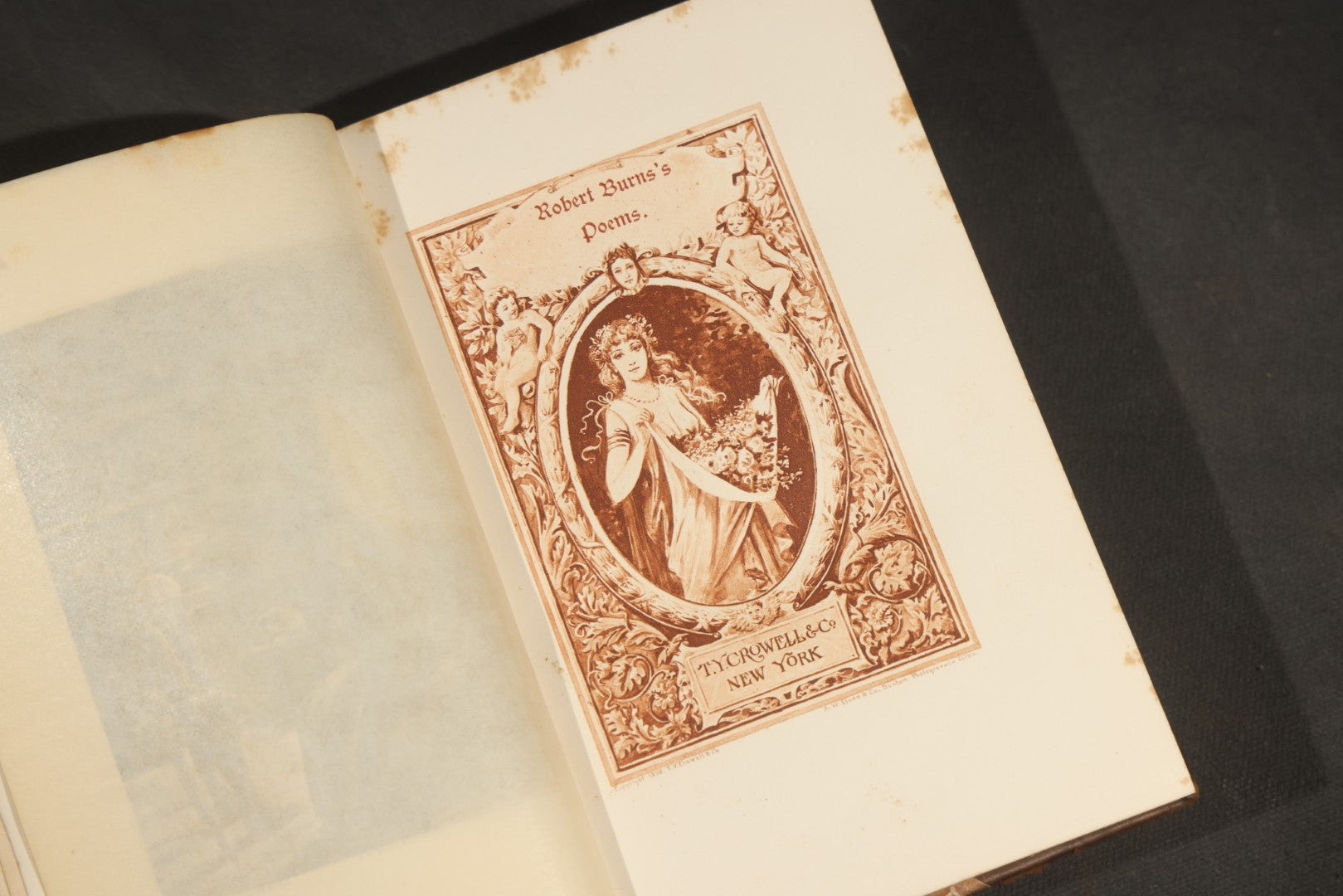 "Selected Poems of Robert Burns" Antique Book with Biographical Sketch and Notes by Nathan Haskell Dole, Illustrated, Published by Thomas Y. Crowell & Company, New York and Boston, Half-Leather Binding with Marbled Boards