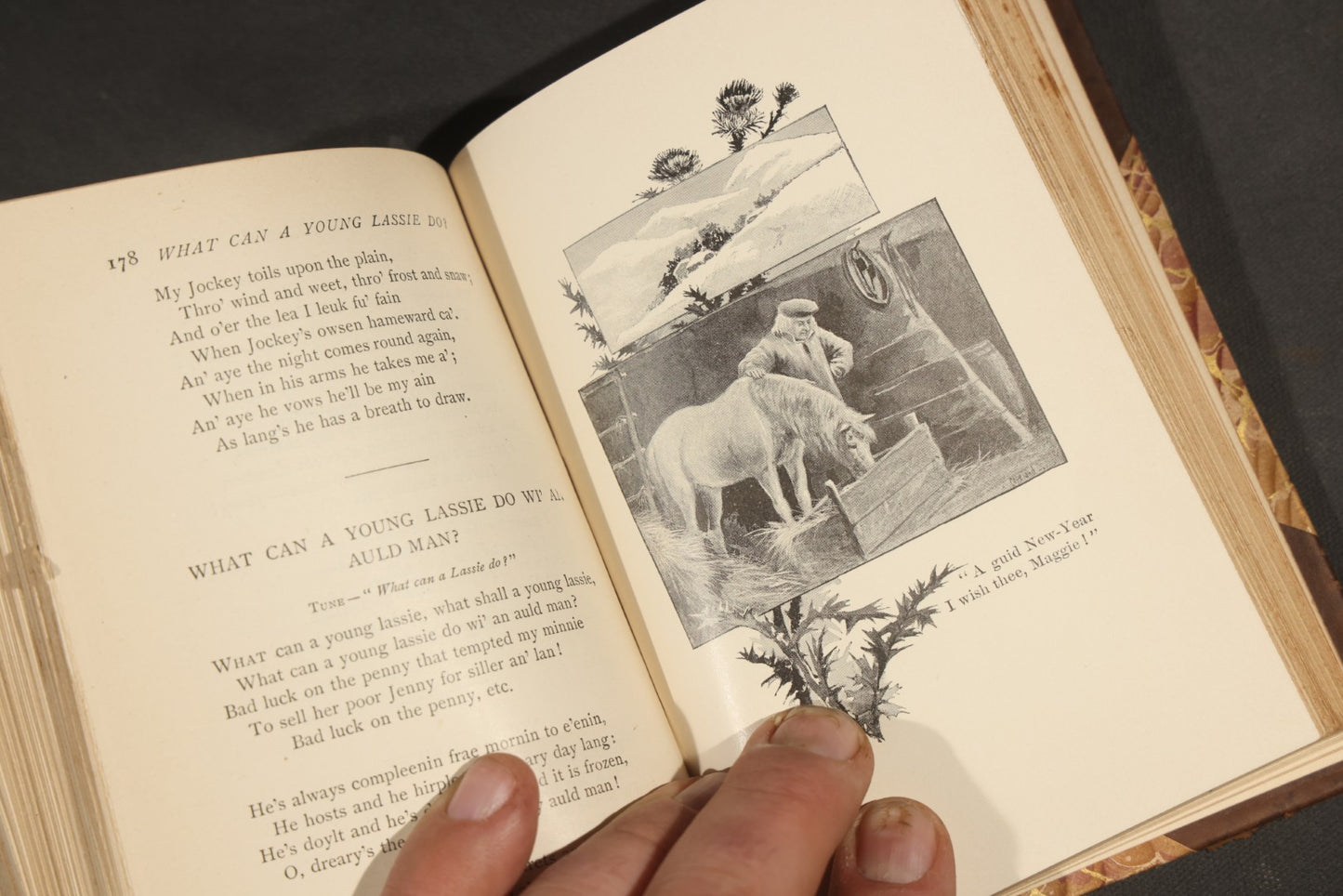 "Selected Poems of Robert Burns" Antique Book with Biographical Sketch and Notes by Nathan Haskell Dole, Illustrated, Published by Thomas Y. Crowell & Company, New York and Boston, Half-Leather Binding with Marbled Boards
