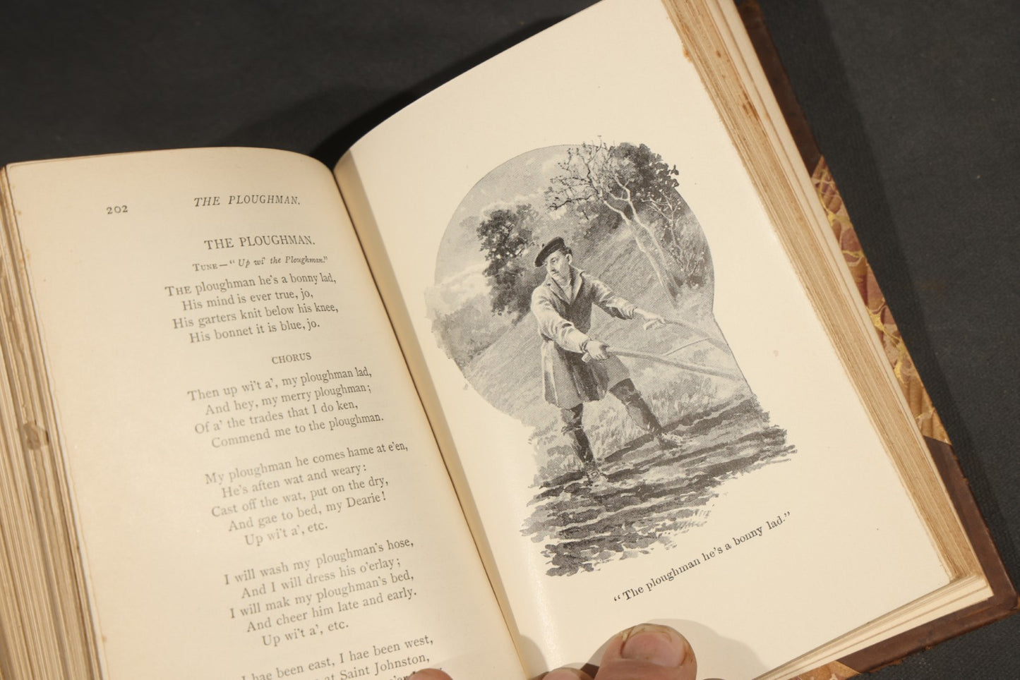 "Selected Poems of Robert Burns" Antique Book with Biographical Sketch and Notes by Nathan Haskell Dole, Illustrated, Published by Thomas Y. Crowell & Company, New York and Boston, Half-Leather Binding with Marbled Boards