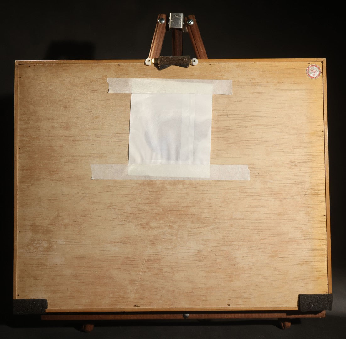 Vintage Entomology Specimen Display of South American Morpho Butterflies, Dated 1960-1961, in Glass-Front Wood Cabinet with Hans Luhr Label, Kiel, Germany