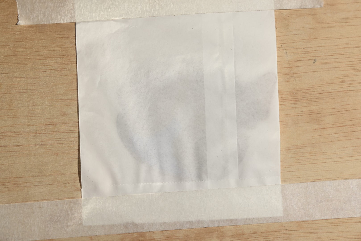 Vintage Entomology Specimen Display of South American Morpho Butterflies, Dated 1960-1961, in Glass-Front Wood Cabinet with Hans Luhr Label, Kiel, Germany