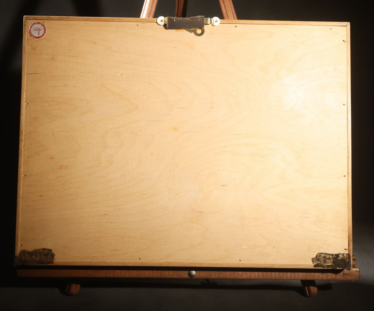 Vintage Entomology Specimen Display of Beetles, Stick Insects, and Leaf Insects from India, East Africa, and Other Localities, in Glass-Front Wood Cabinet with Hans Luhr Label, Kiel, Germany
