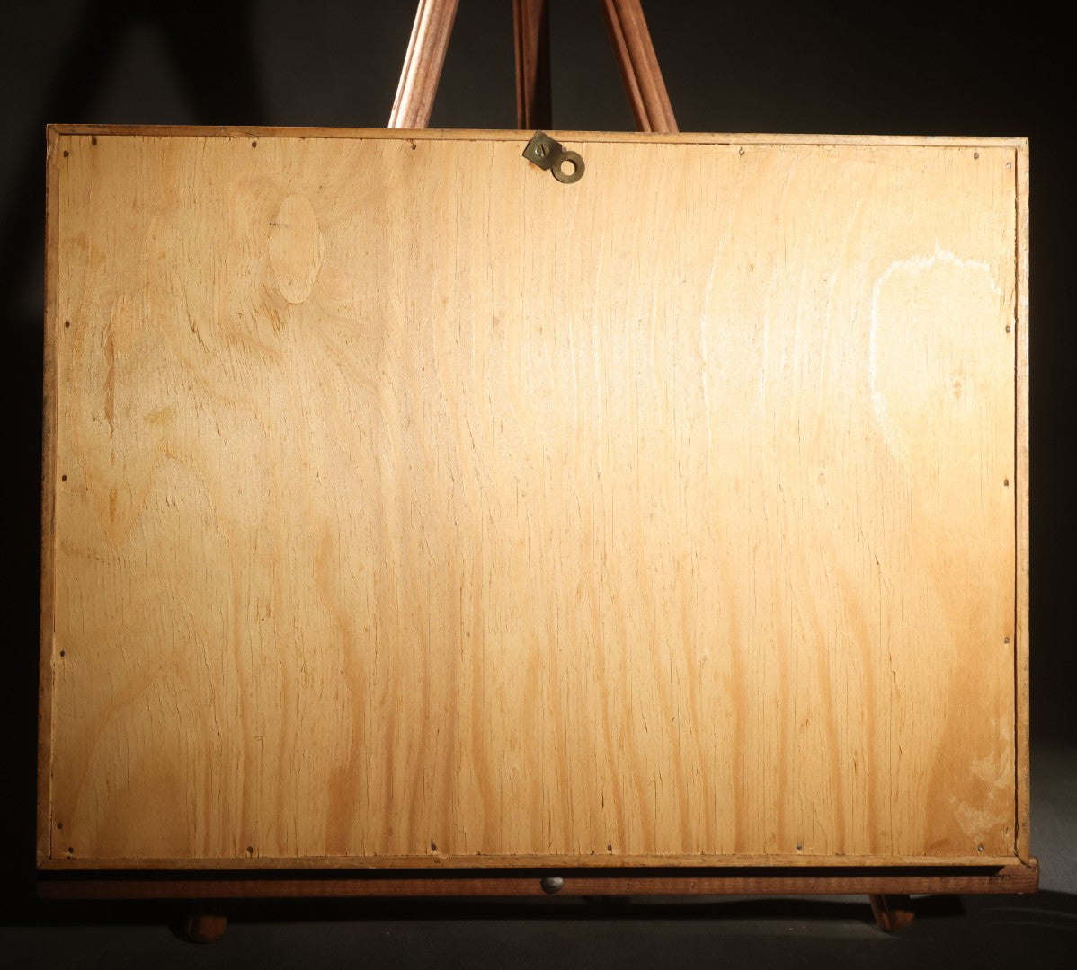 Vintage Entomology Specimen Display of Large Beetles Including Stag Beetles, Longhorn Beetles, and Metallic Scarabs from India, Madagascar, and Other Regions, in Glass-Front Wood Cabinet Attributed to Hans Luhr, Kiel, Germany