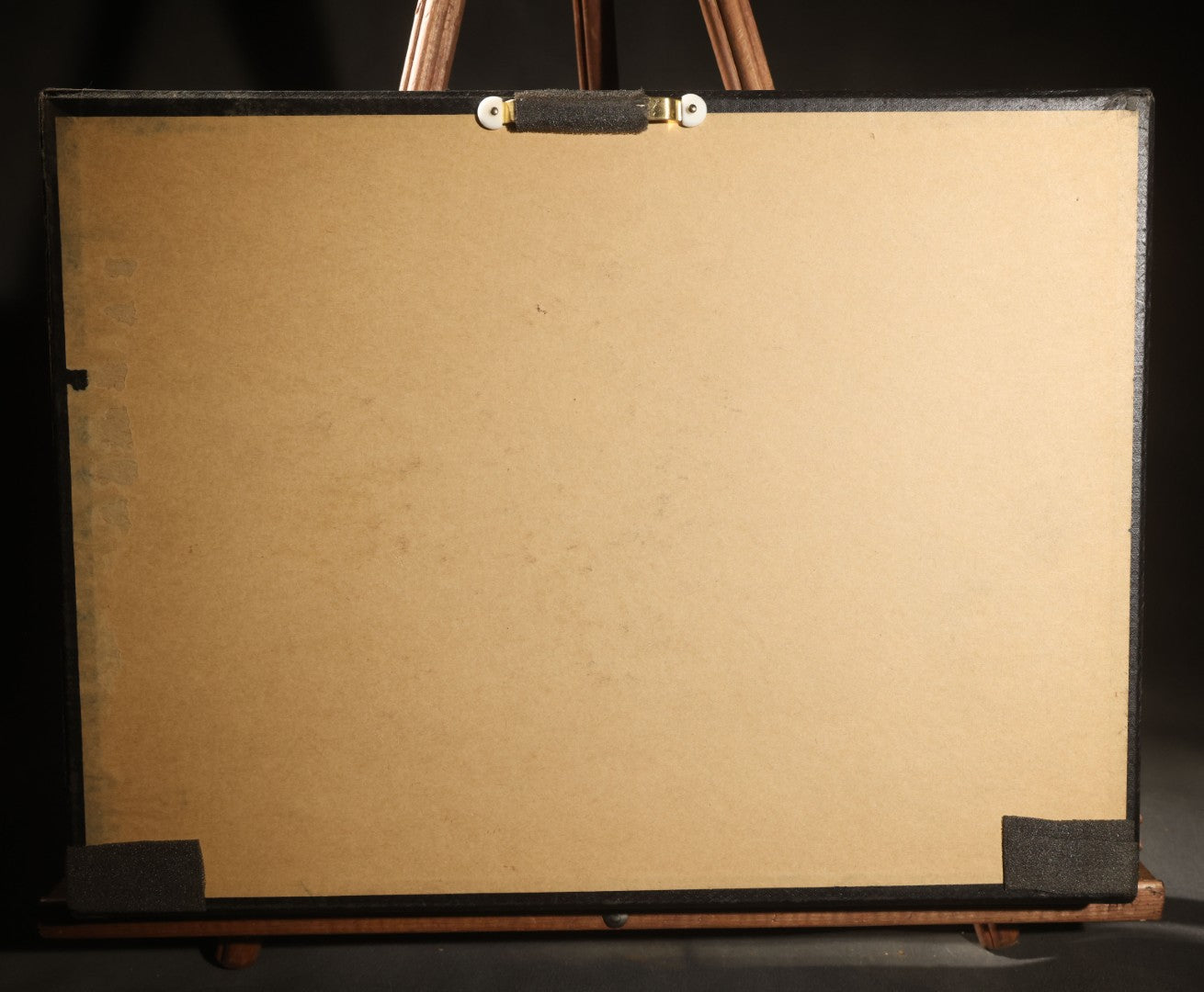 Vintage Entomology Specimen Display of Beetles Including Acrocinus Longimanus (Harlequin Beetle) from South America, Formosa, and Other Localities, in Glass-Top Black Riker Case