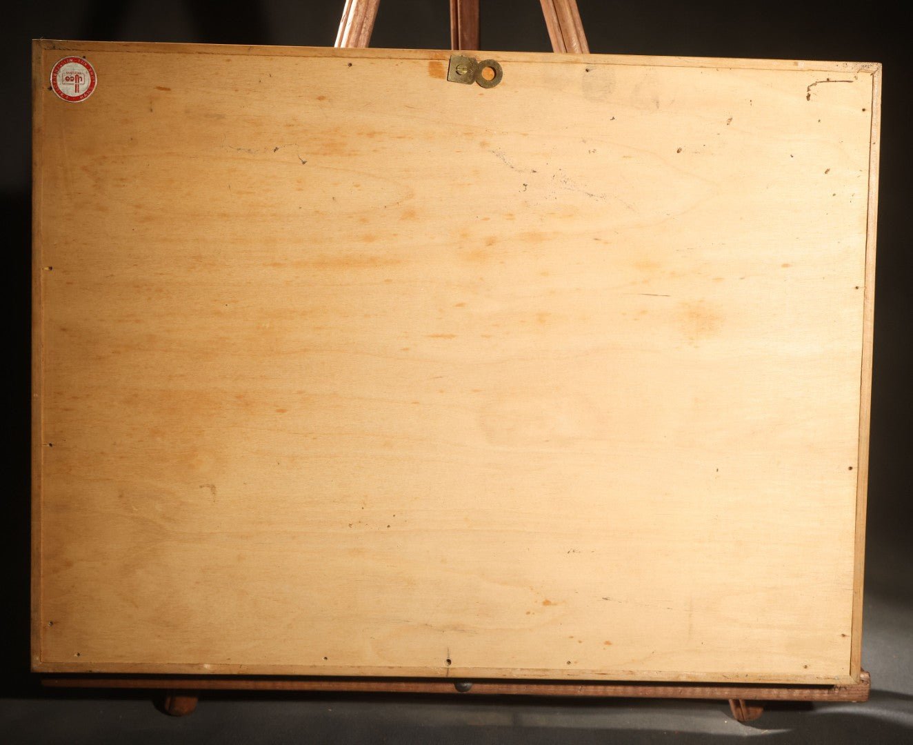 Vintage Entomology Specimen Display of Beetles, Lantern Fly, Grasshoppers, and Other Insects from Brazil and Other Localities, in Glass-Front Wood Cabinet with Hans Luhr Label, Kiel, Germany