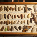 Lot 019 - Vintage Entomology Specimen Display of Cocoons, Pupae, and Chrysalids from Worldwide Localities with Monarch Butterfly Specimen, in Glass-Front Wood Cabinet Attributed to Hans Luhr, Kiel, Germany, 17-1/4" L x 12-7/8" H