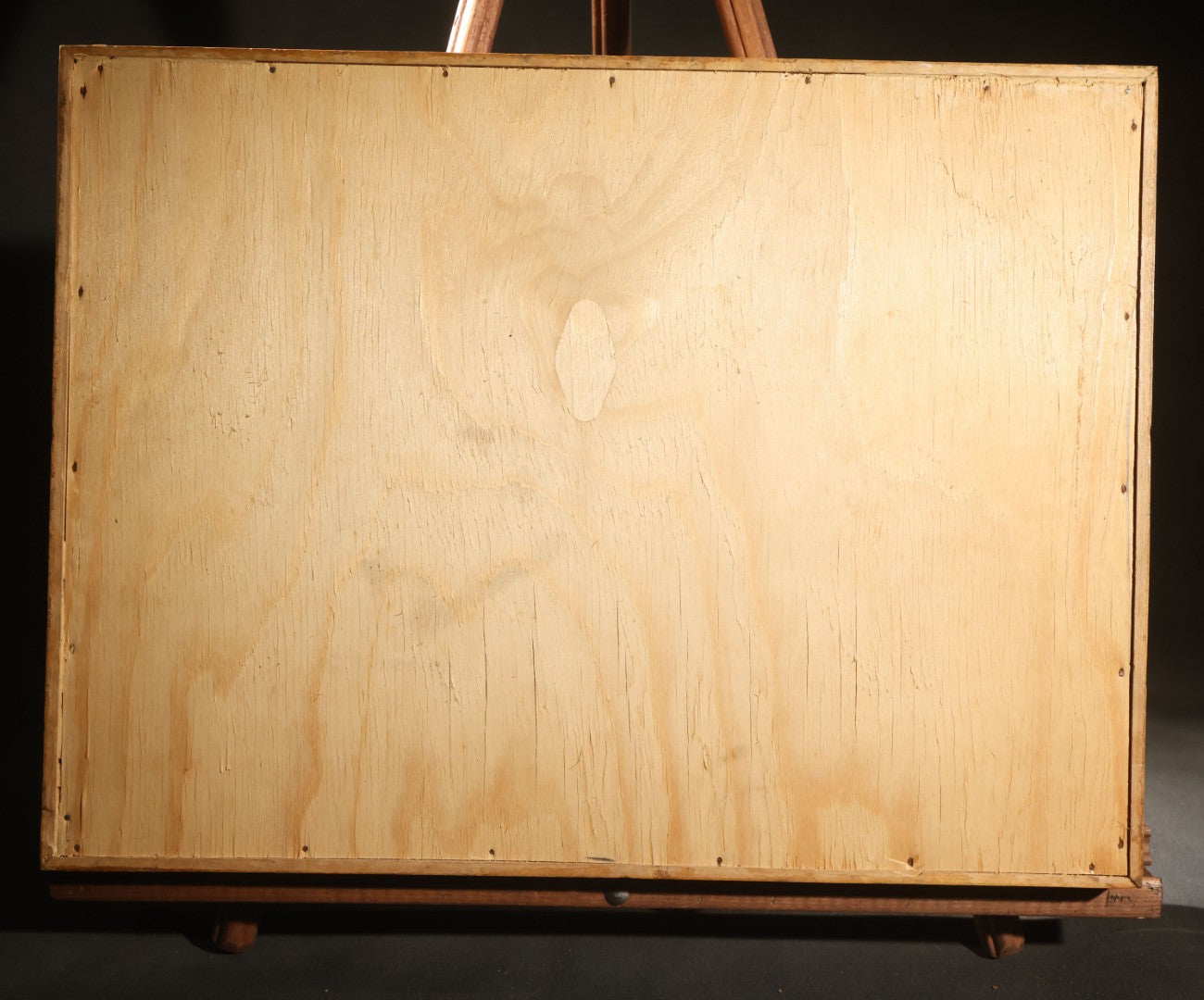 Vintage Entomology Specimen Display of Cocoons, Pupae, and Chrysalids from Worldwide Localities with Monarch Butterfly Specimen, in Glass-Front Wood Cabinet Attributed to Hans Luhr, Kiel, Germany