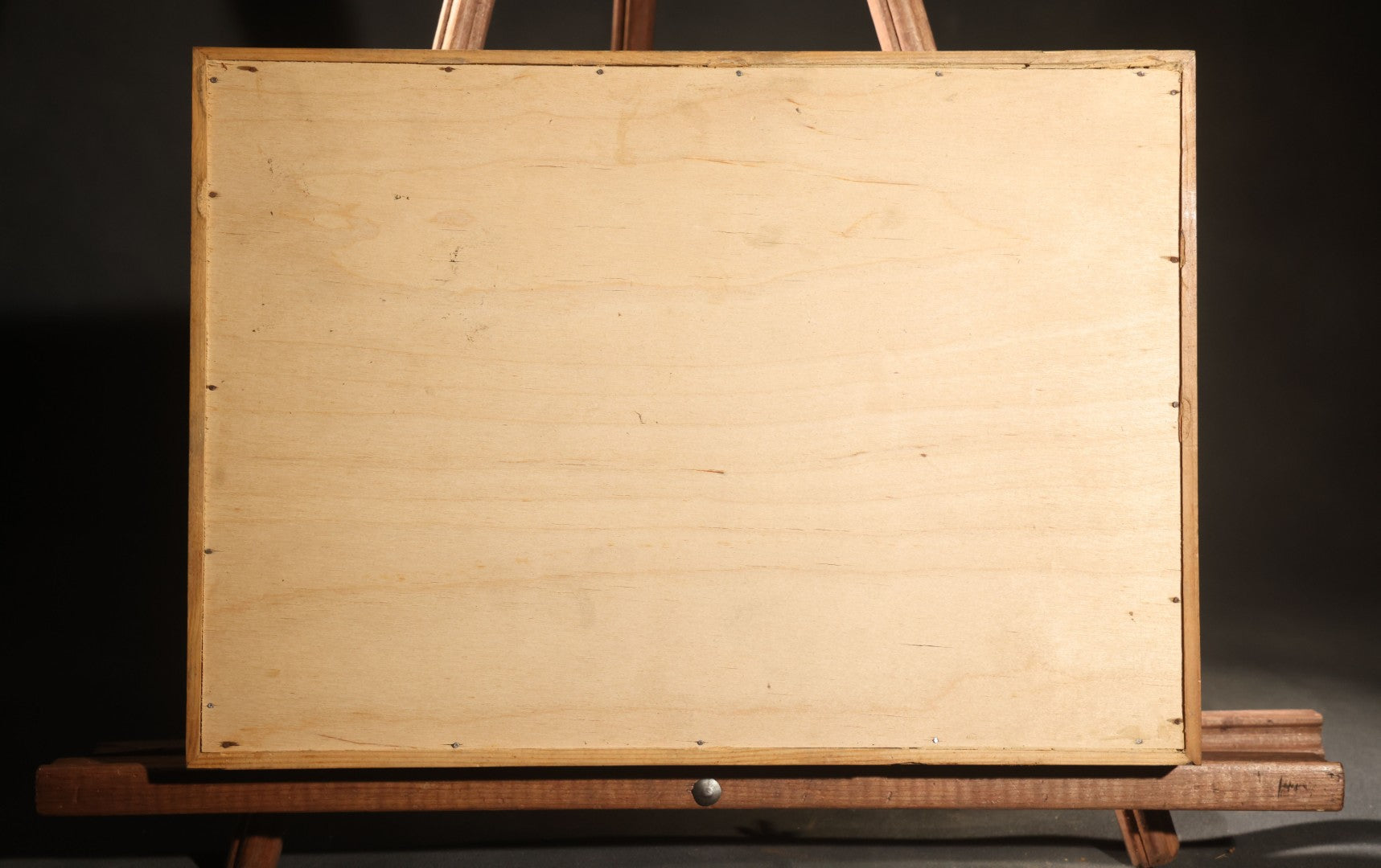 Vintage Natural History Specimen Display of Shells and Dried Seahorse in Glass-Front Dark Wood Cabinet