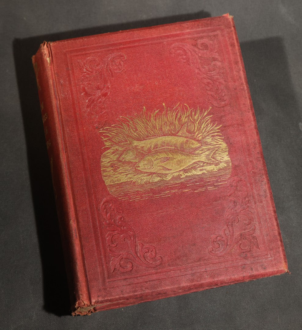 "Frank Forester's Fish and Fishing of the United States and British Provinces of North America" Antique Fishing Book by Henry William Herbert, Illustrated from Nature, Published by W.A. Townsend, New York, 1864