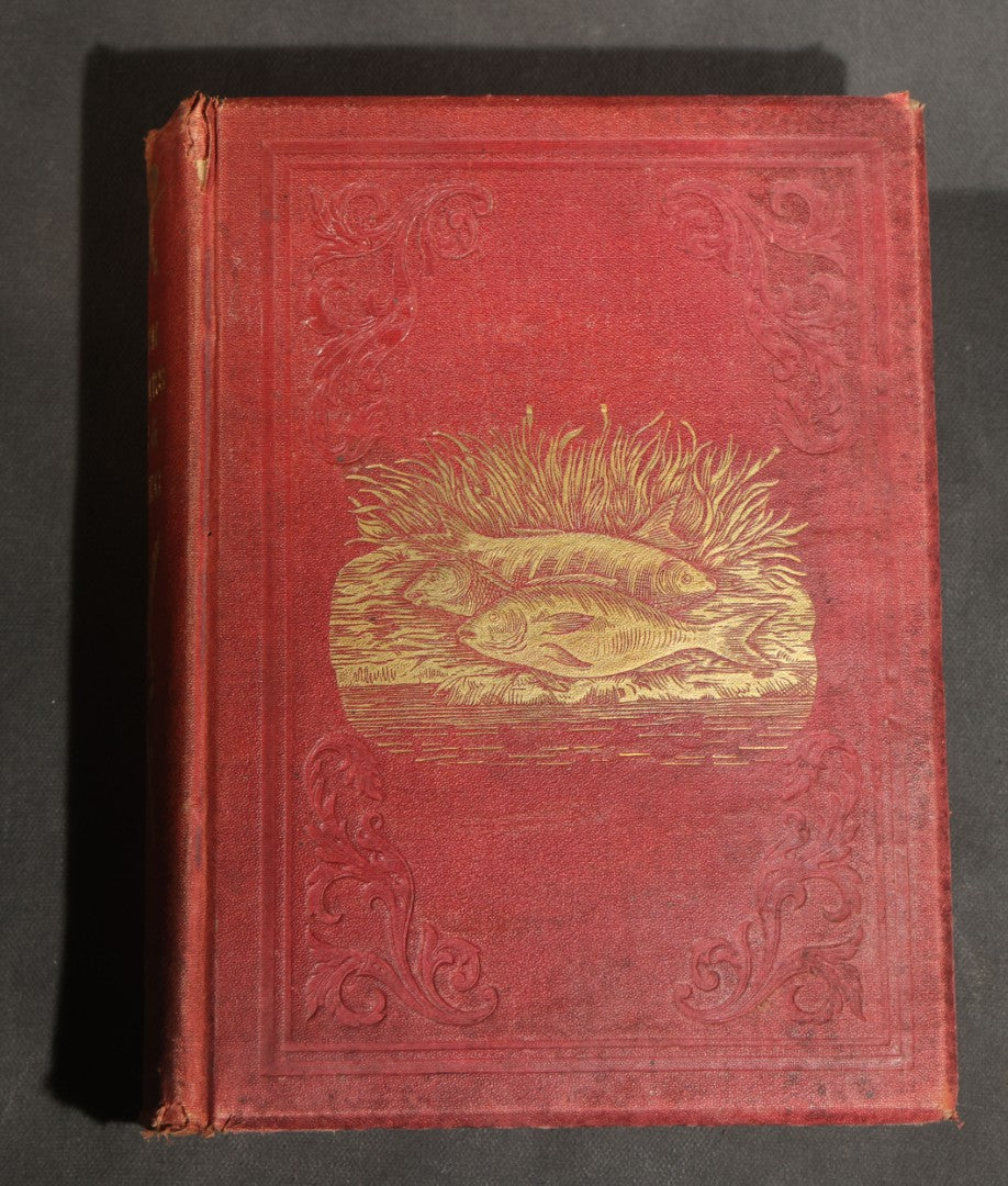 "Frank Forester's Fish and Fishing of the United States and British Provinces of North America" Antique Fishing Book by Henry William Herbert, Illustrated from Nature, Published by W.A. Townsend, New York, 1864