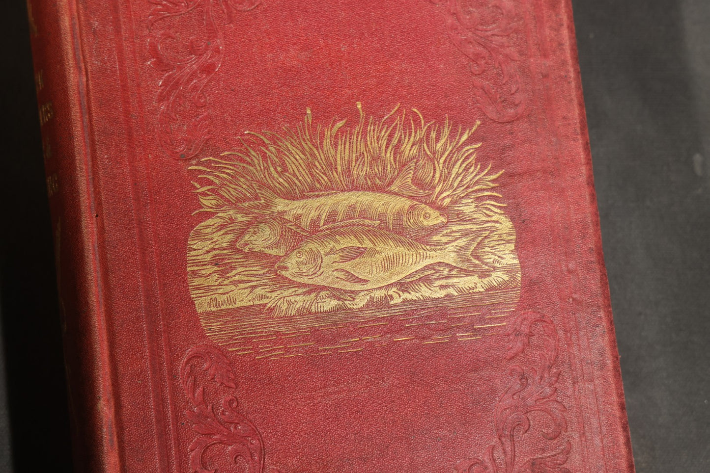 "Frank Forester's Fish and Fishing of the United States and British Provinces of North America" Antique Fishing Book by Henry William Herbert, Illustrated from Nature, Published by W.A. Townsend, New York, 1864