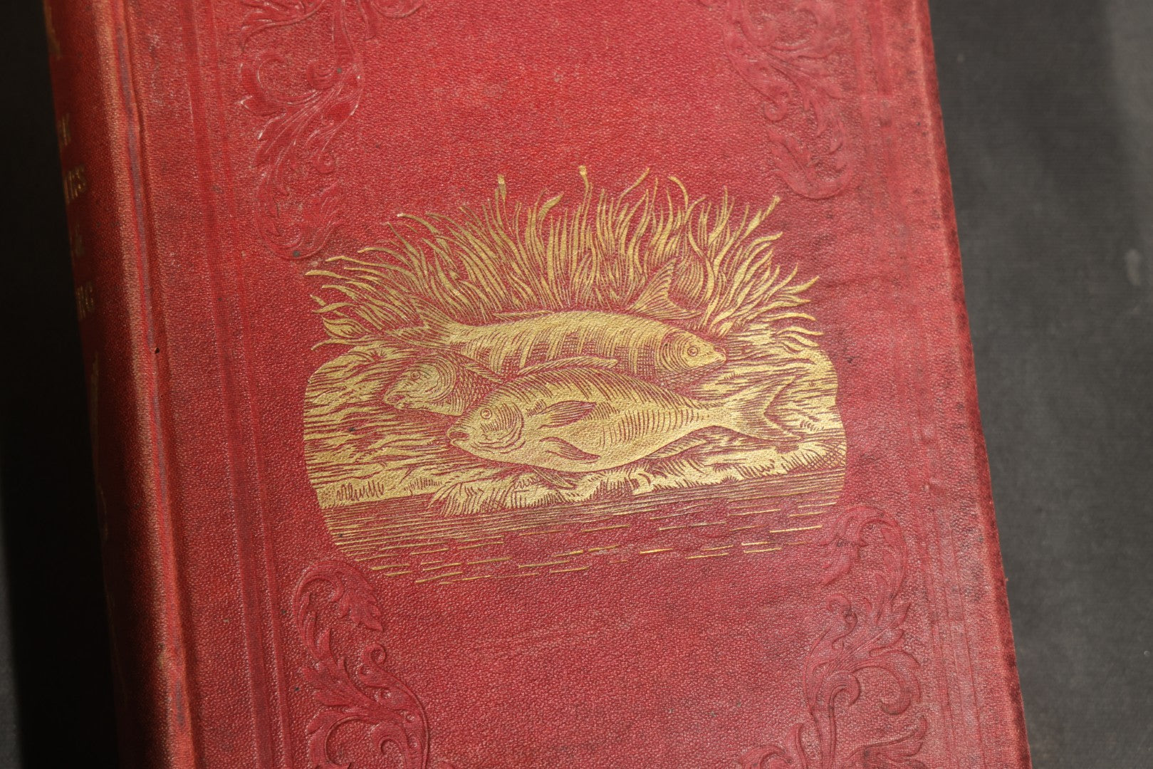"Frank Forester's Fish and Fishing of the United States and British Provinces of North America" Antique Fishing Book by Henry William Herbert, Illustrated from Nature, Published by W.A. Townsend, New York, 1864