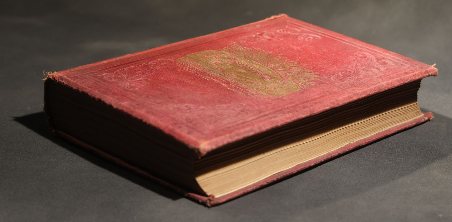 "Frank Forester's Fish and Fishing of the United States and British Provinces of North America" Antique Fishing Book by Henry William Herbert, Illustrated from Nature, Published by W.A. Townsend, New York, 1864