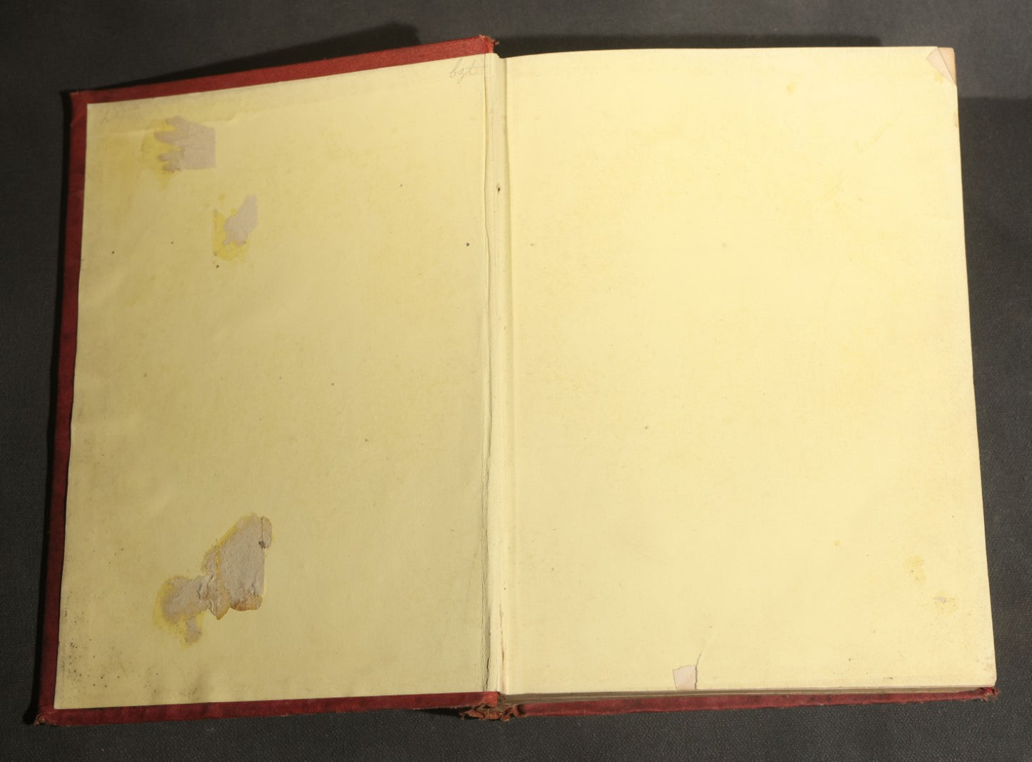 "Frank Forester's Fish and Fishing of the United States and British Provinces of North America" Antique Fishing Book by Henry William Herbert, Illustrated from Nature, Published by W.A. Townsend, New York, 1864