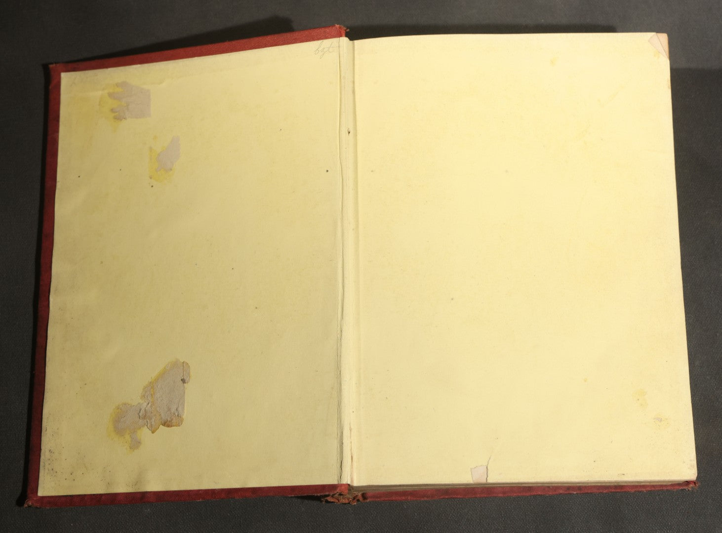 "Frank Forester's Fish and Fishing of the United States and British Provinces of North America" Antique Fishing Book by Henry William Herbert, Illustrated from Nature, Published by W.A. Townsend, New York, 1864