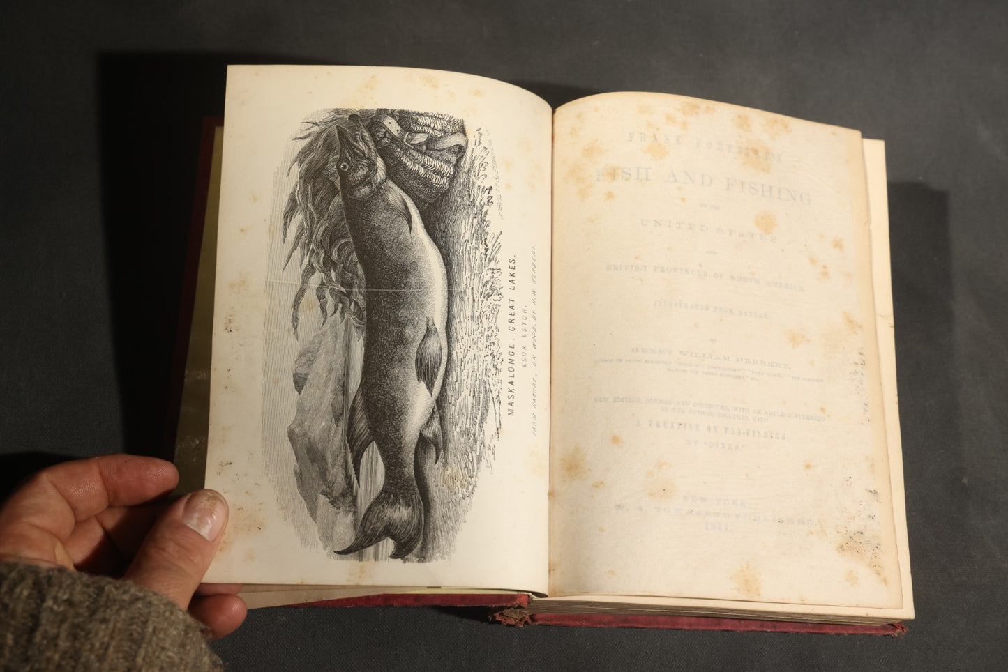 "Frank Forester's Fish and Fishing of the United States and British Provinces of North America" Antique Fishing Book by Henry William Herbert, Illustrated from Nature, Published by W.A. Townsend, New York, 1864