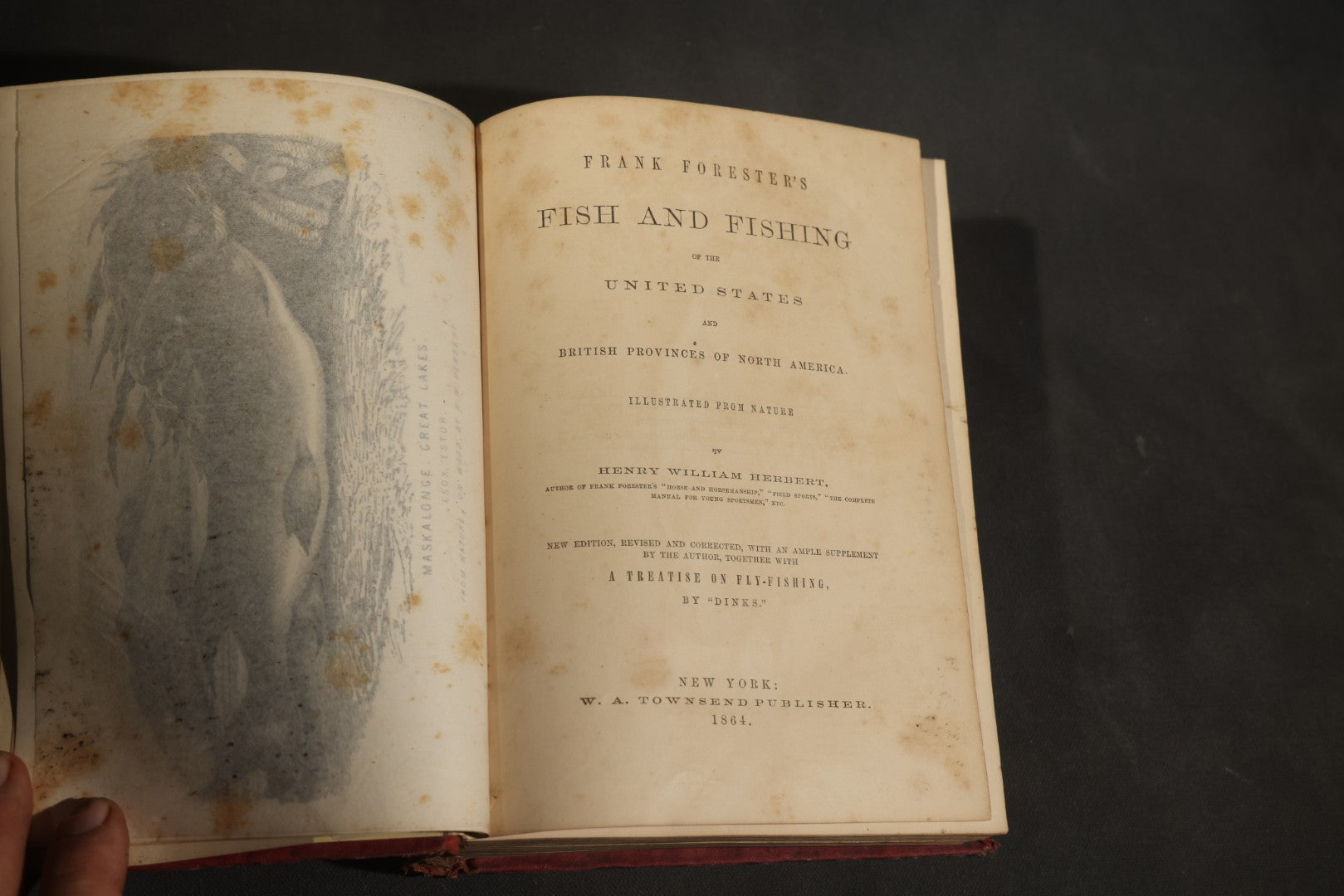 "Frank Forester's Fish and Fishing of the United States and British Provinces of North America" Antique Fishing Book by Henry William Herbert, Illustrated from Nature, Published by W.A. Townsend, New York, 1864