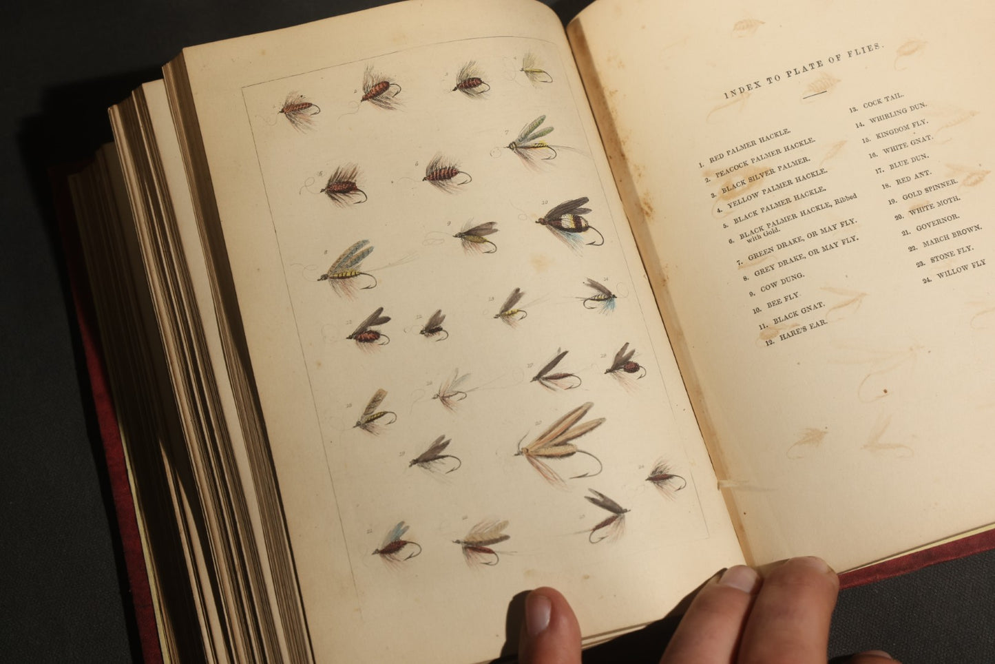 "Frank Forester's Fish and Fishing of the United States and British Provinces of North America" Antique Fishing Book by Henry William Herbert, Illustrated from Nature, Published by W.A. Townsend, New York, 1864