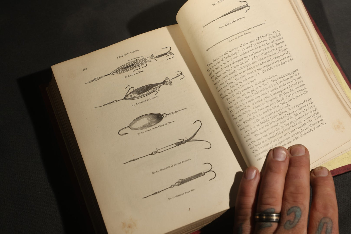 "Frank Forester's Fish and Fishing of the United States and British Provinces of North America" Antique Fishing Book by Henry William Herbert, Illustrated from Nature, Published by W.A. Townsend, New York, 1864