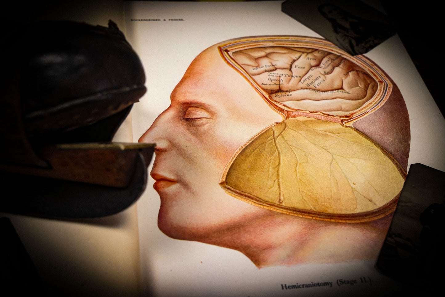 5/29/2025 AUCTION PHOTO GALLERY