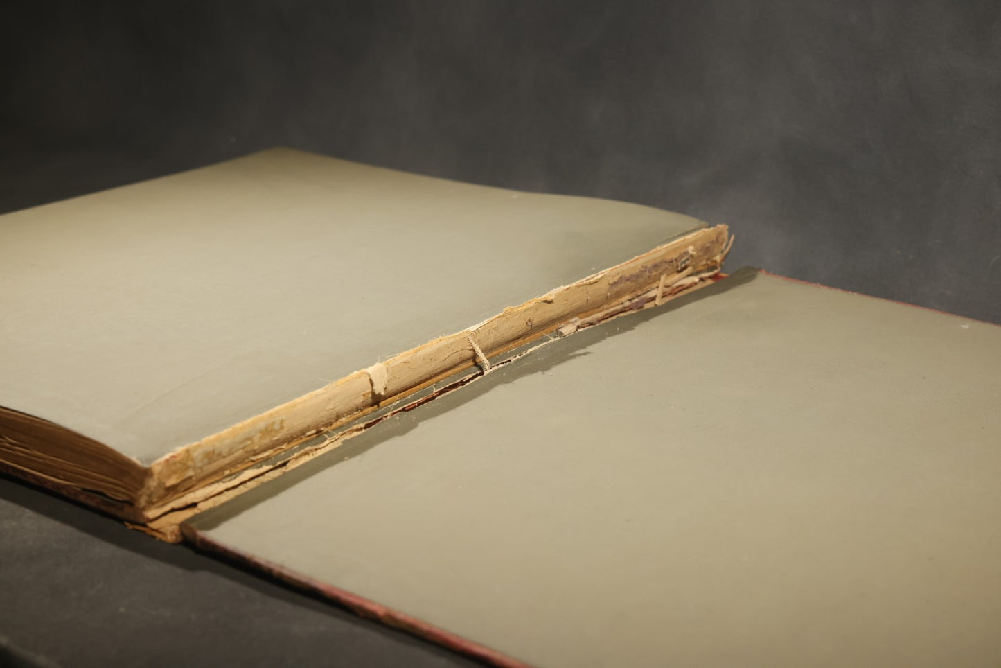 "The Rime of the Ancient Mariner" Antique Illustrated Book by Samuel Taylor Coleridge, Illustrated by Gustave Dore, with Albatross Cover Design