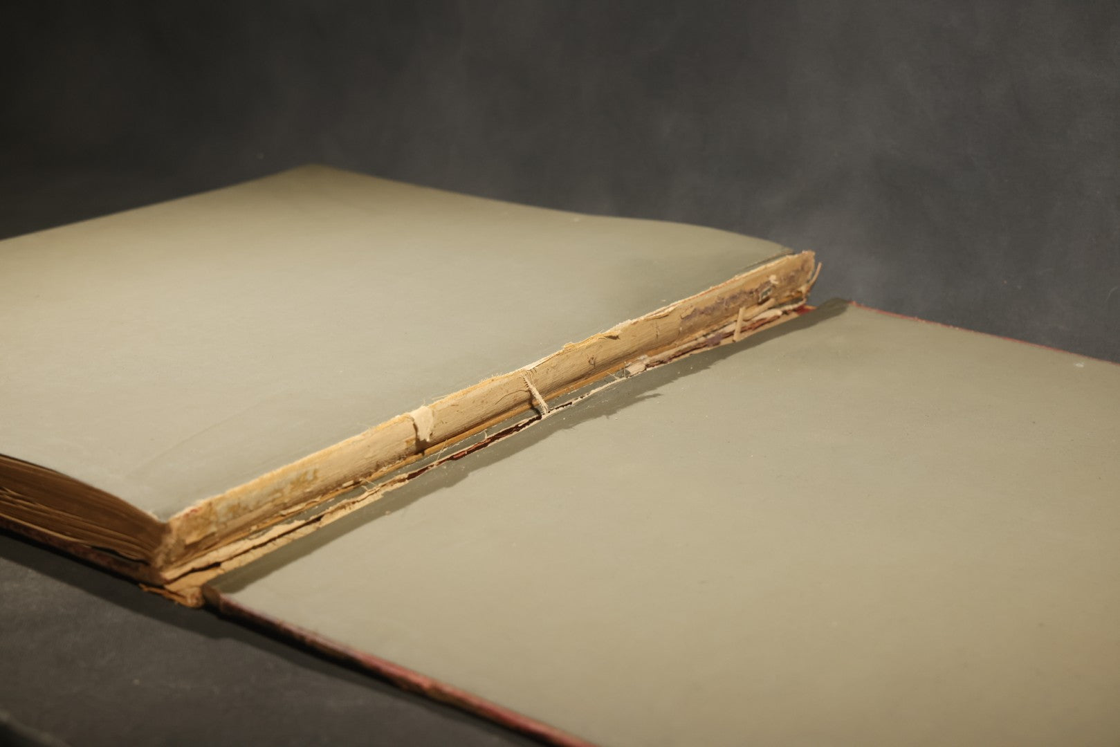 "The Rime of the Ancient Mariner" Antique Illustrated Book by Samuel Taylor Coleridge, Illustrated by Gustave Dore, with Albatross Cover Design