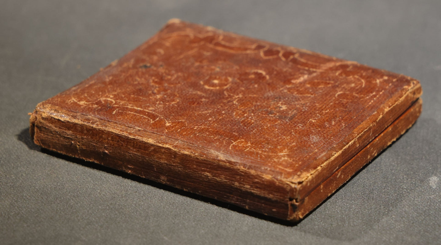 Antique 1/6th Plate Daguerreotype Photograph of a Young Woman in a Dark Dress Holding a Book, Full Intact Leatherette Case with Wear