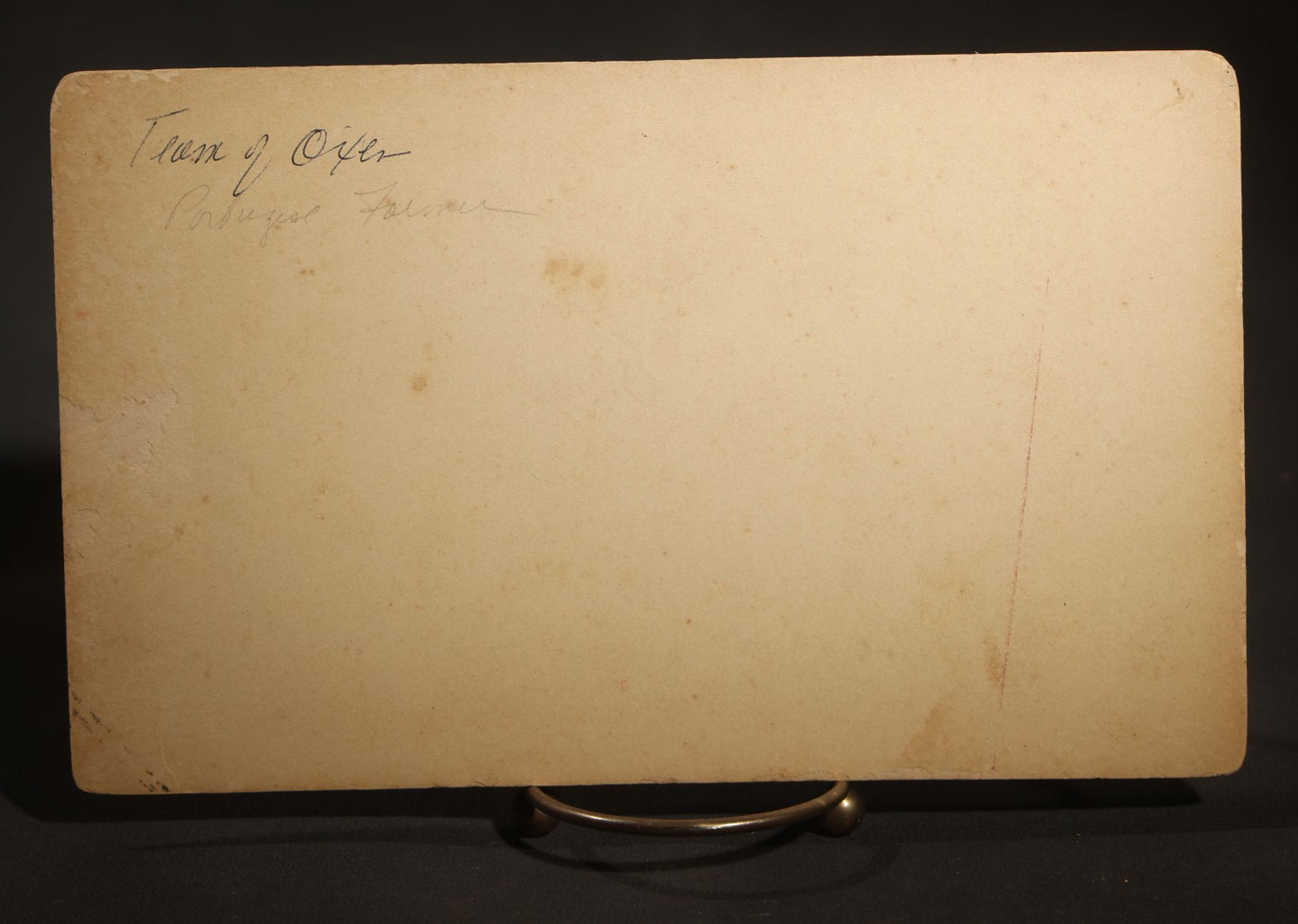 Antique Board-Mounted Occupational Photograph of a Portuguese Farmer with a Team of Oxen and Cart, Inscribed "Team of Oxen, Portuguese Farmer"