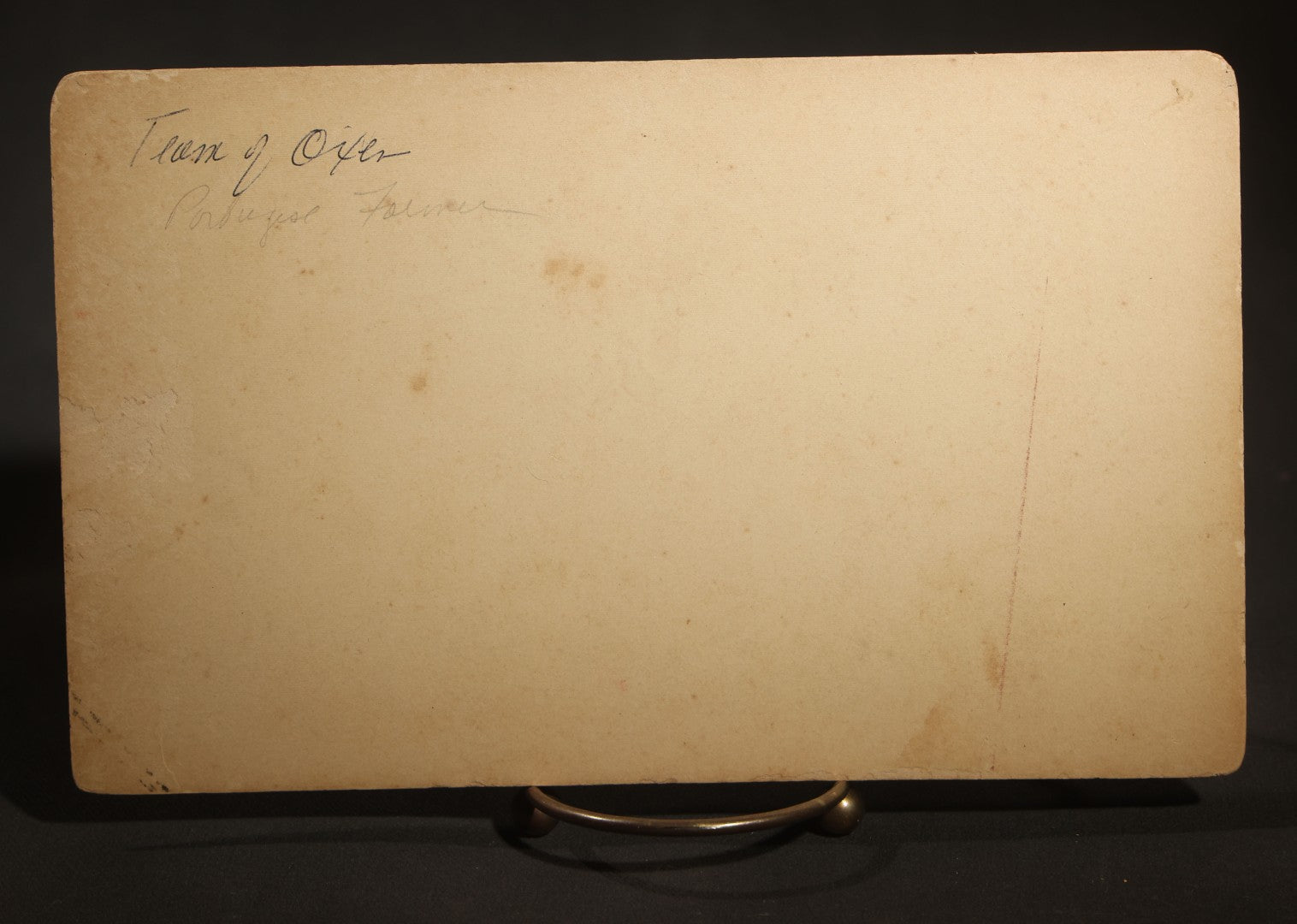 Antique Board-Mounted Occupational Photograph of a Portuguese Farmer with a Team of Oxen and Cart, Inscribed "Team of Oxen, Portuguese Farmer"