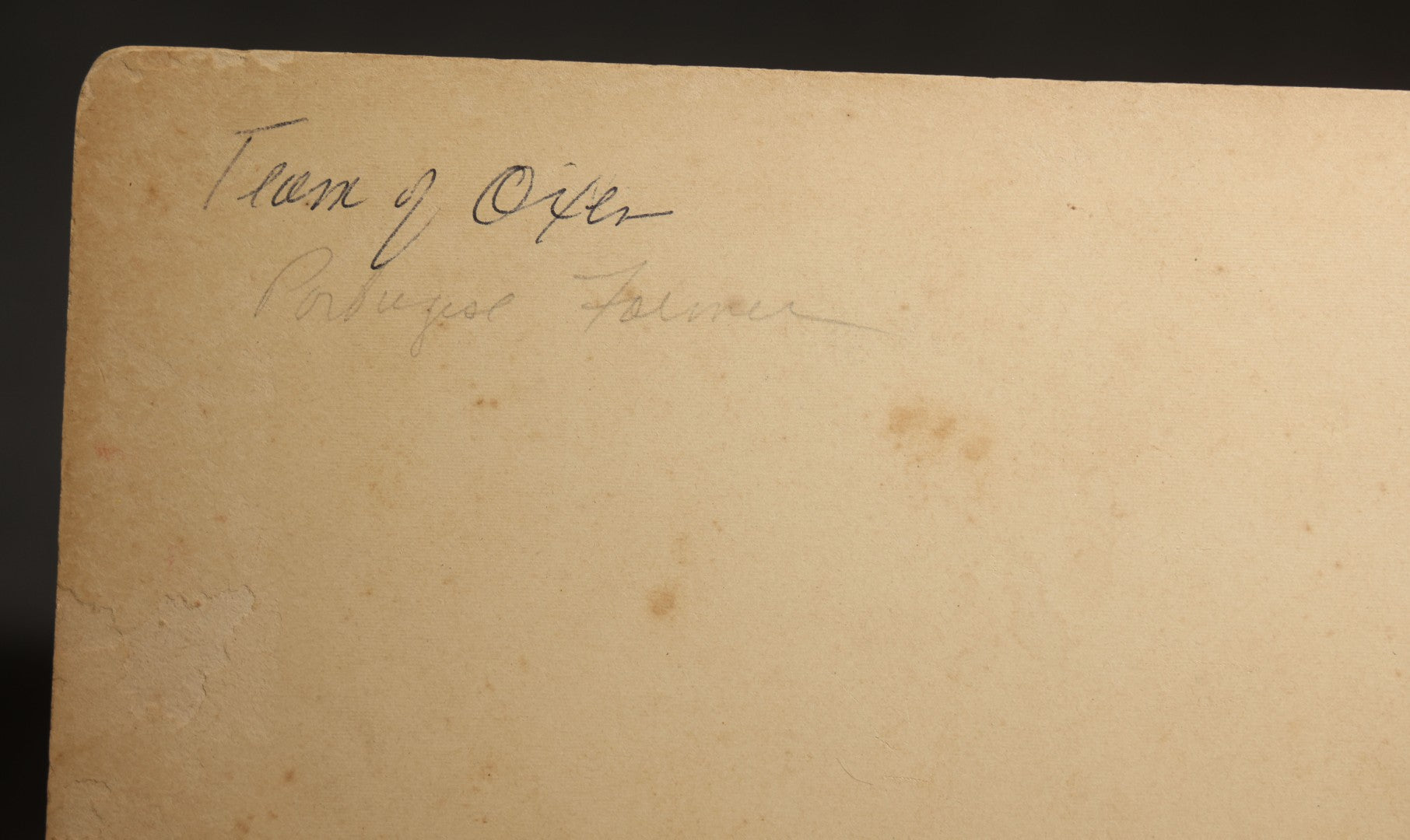 Antique Board-Mounted Occupational Photograph of a Portuguese Farmer with a Team of Oxen and Cart, Inscribed "Team of Oxen, Portuguese Farmer"