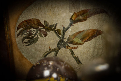 6/5/2025 AUCTION PHOTO GALLERY