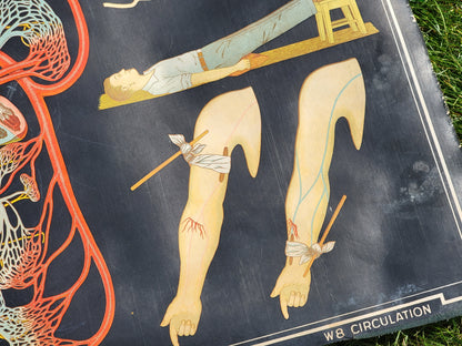 1930s Winslow Health and Hygiene Fabric Classroom Poster: Circulation