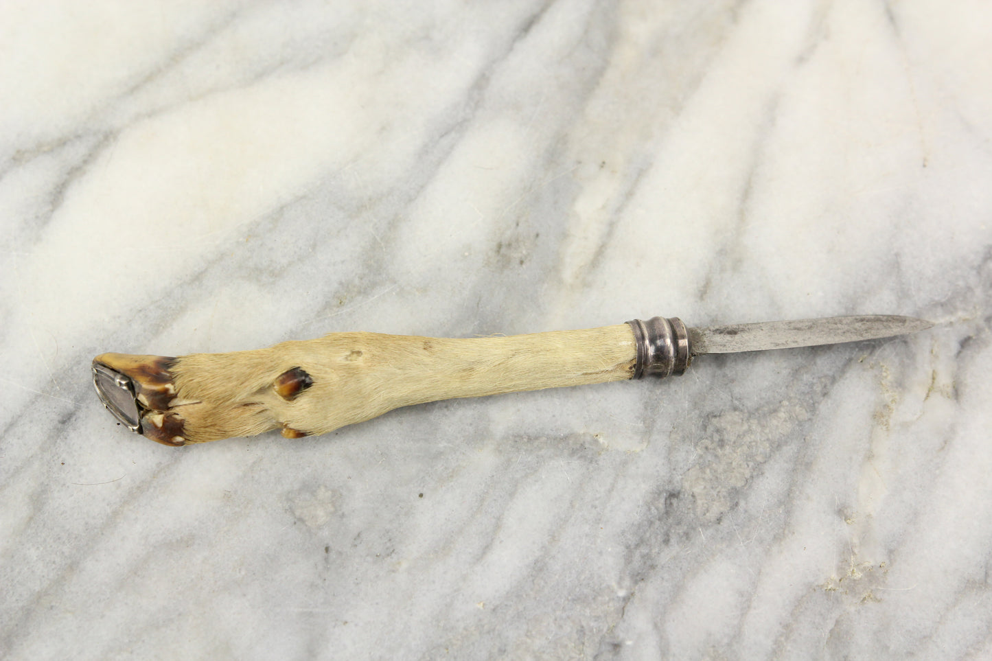 Novelty Taxidermy Deer Paw Hoof Leg Knife and Letter Opener with Sterling Silver