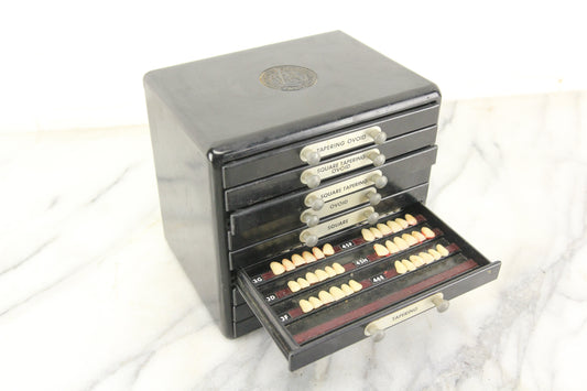 The Dentists' Supply Co. of New York Bioform False Teeth Bakelite Cabinet