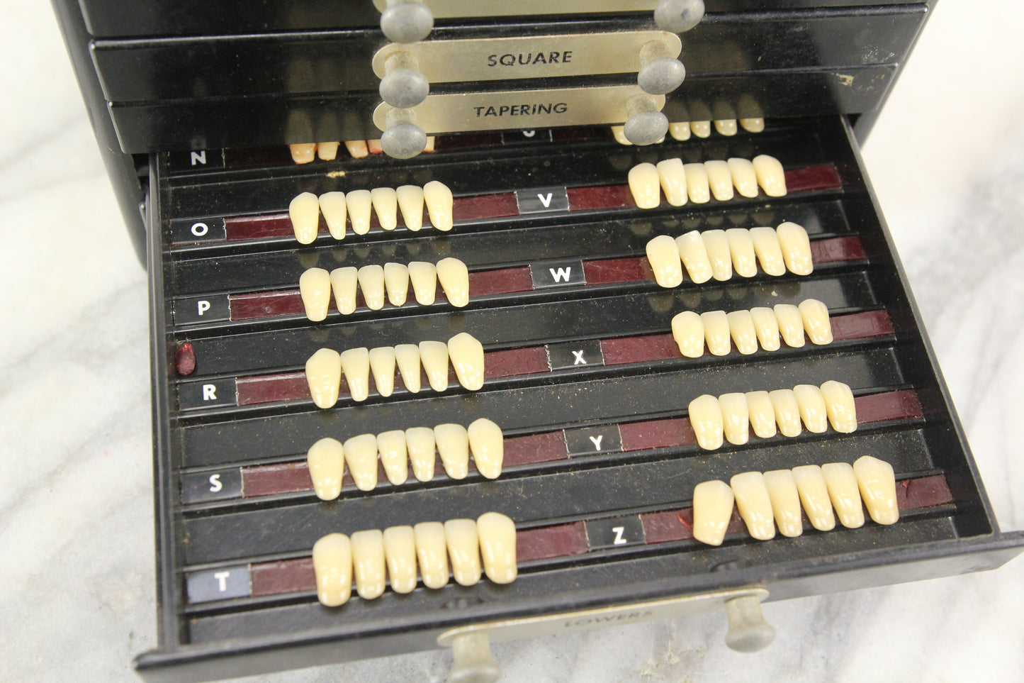 The Dentists' Supply Co. of New York Bioform False Teeth Bakelite Cabinet
