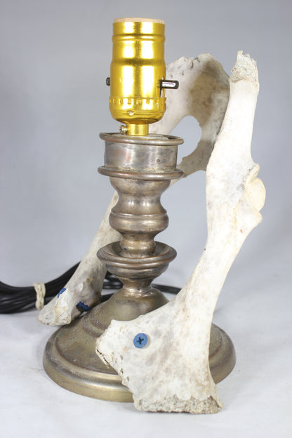 Animal Bone Lamp with Brass Candlestick Base