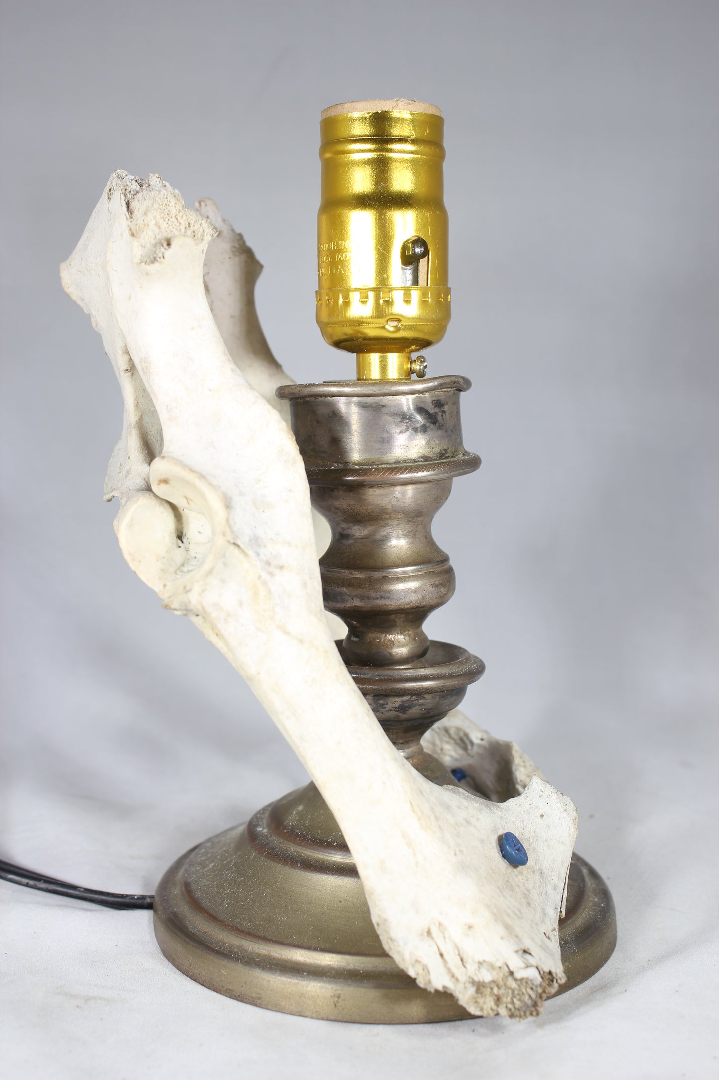 Animal Bone Lamp with Brass Candlestick Base