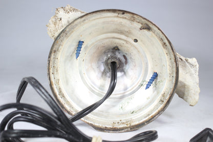 Animal Bone Lamp with Brass Candlestick Base