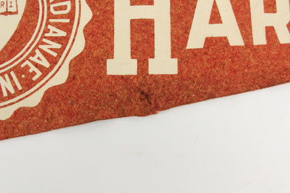 Harvard University, Cambridge, Massachusetts Souvenir Pennant - 29 –  Memory Hole Vintage