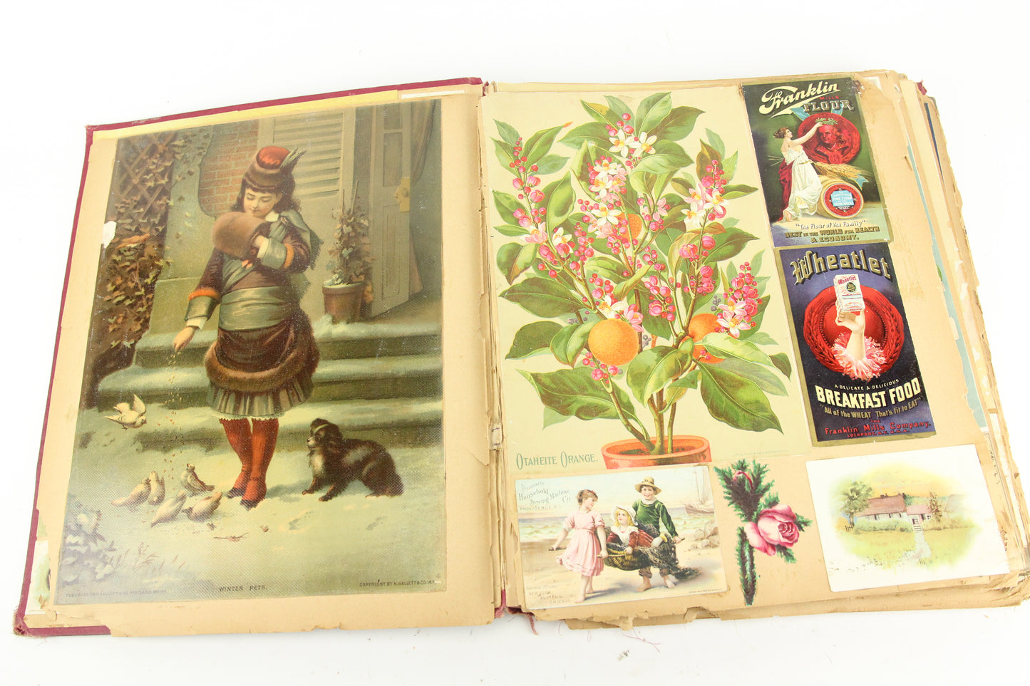 Completely Filled 320 Piece Victorian Trade Card Die Cut Litho & More Scrapbook